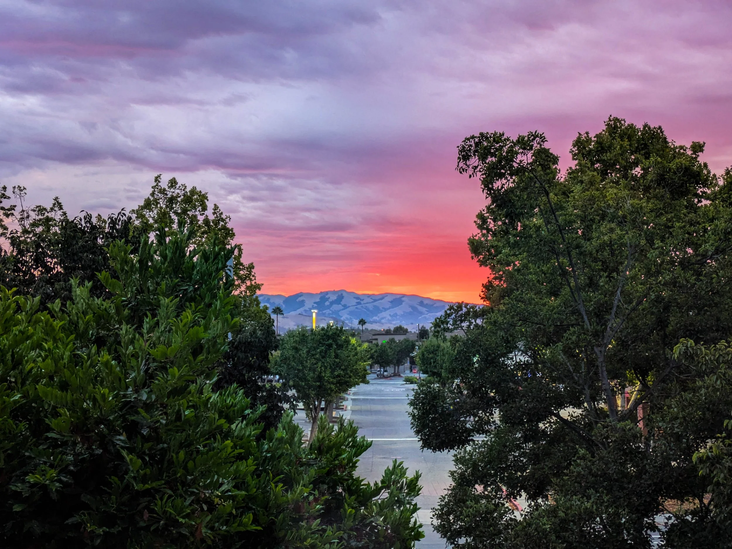 PXL_20250924_135553697.RAW-01.COVER.jpg