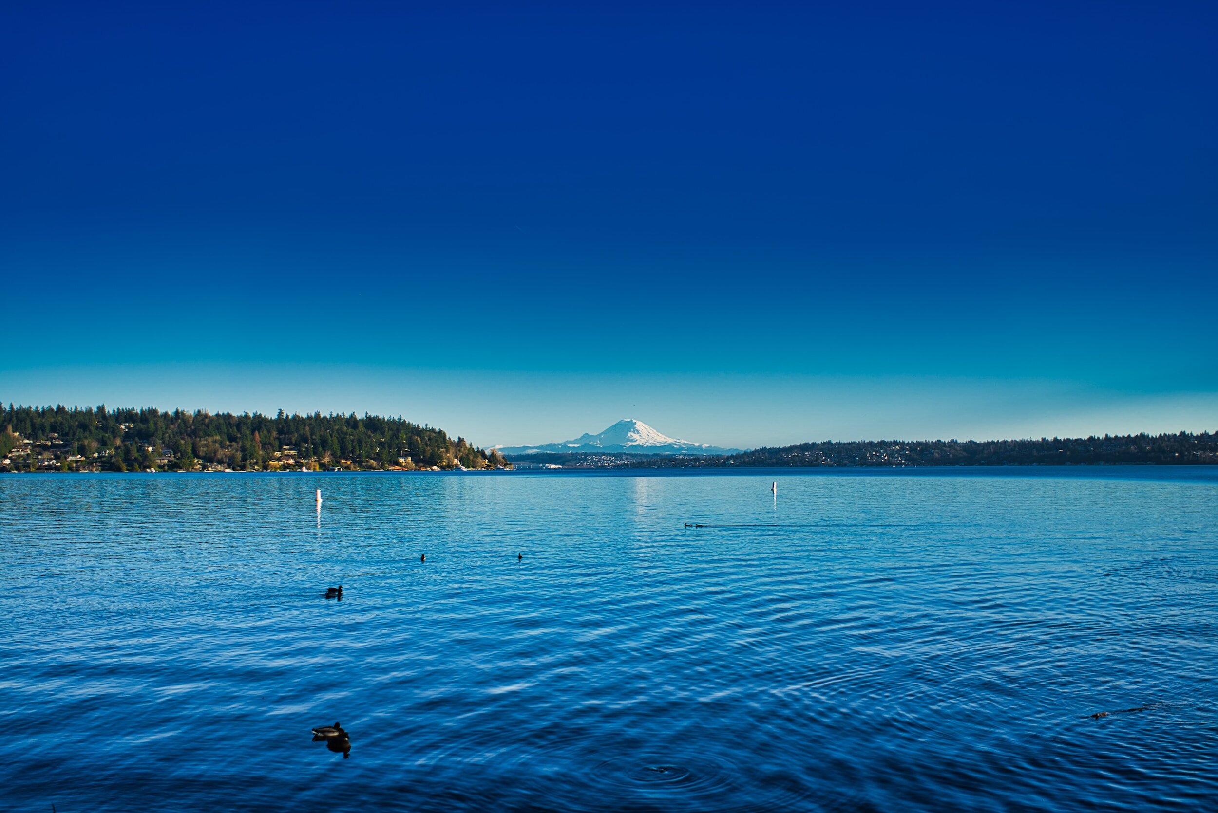 Columbia City Real Estate & Property Management