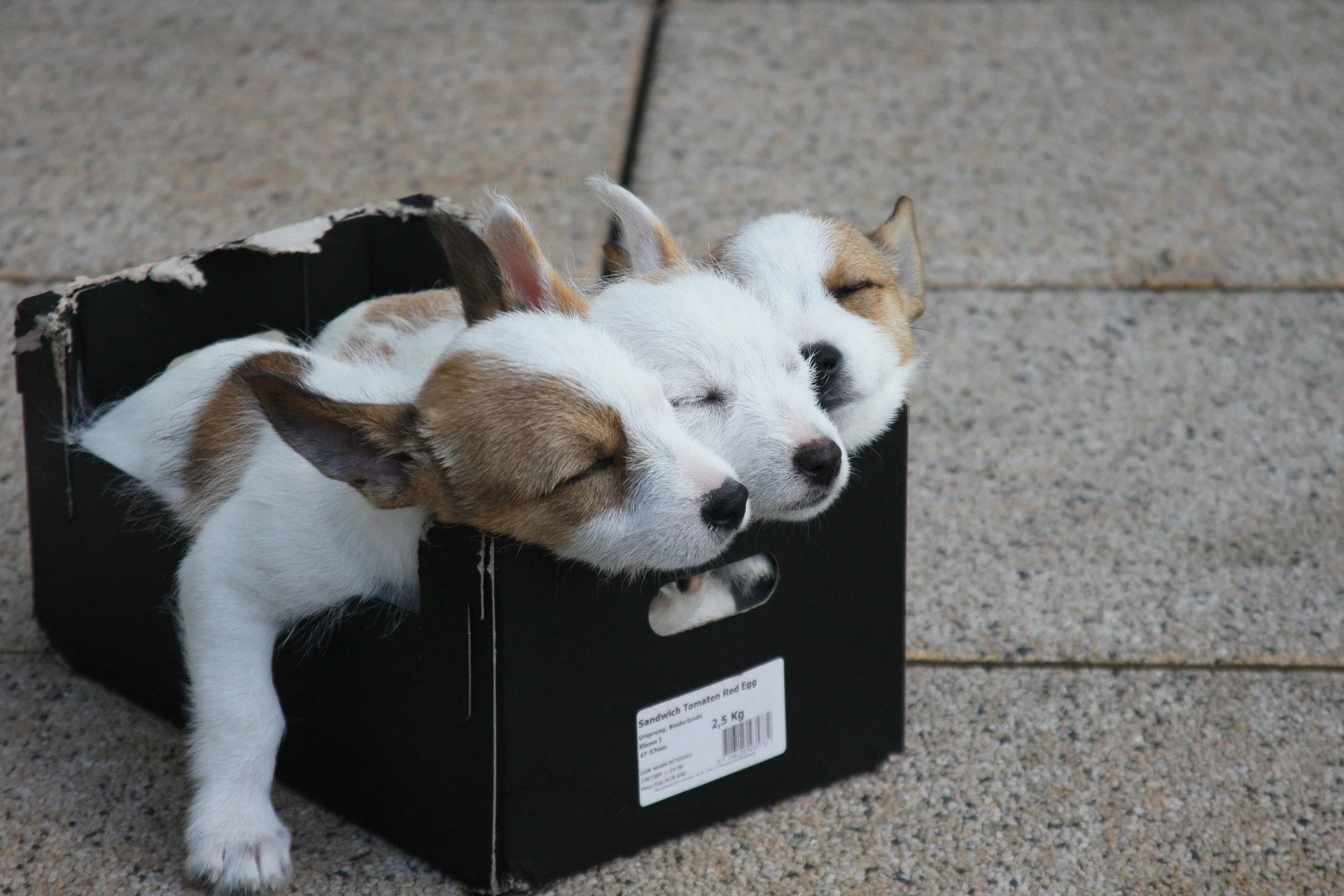 Top Tips for Sleep