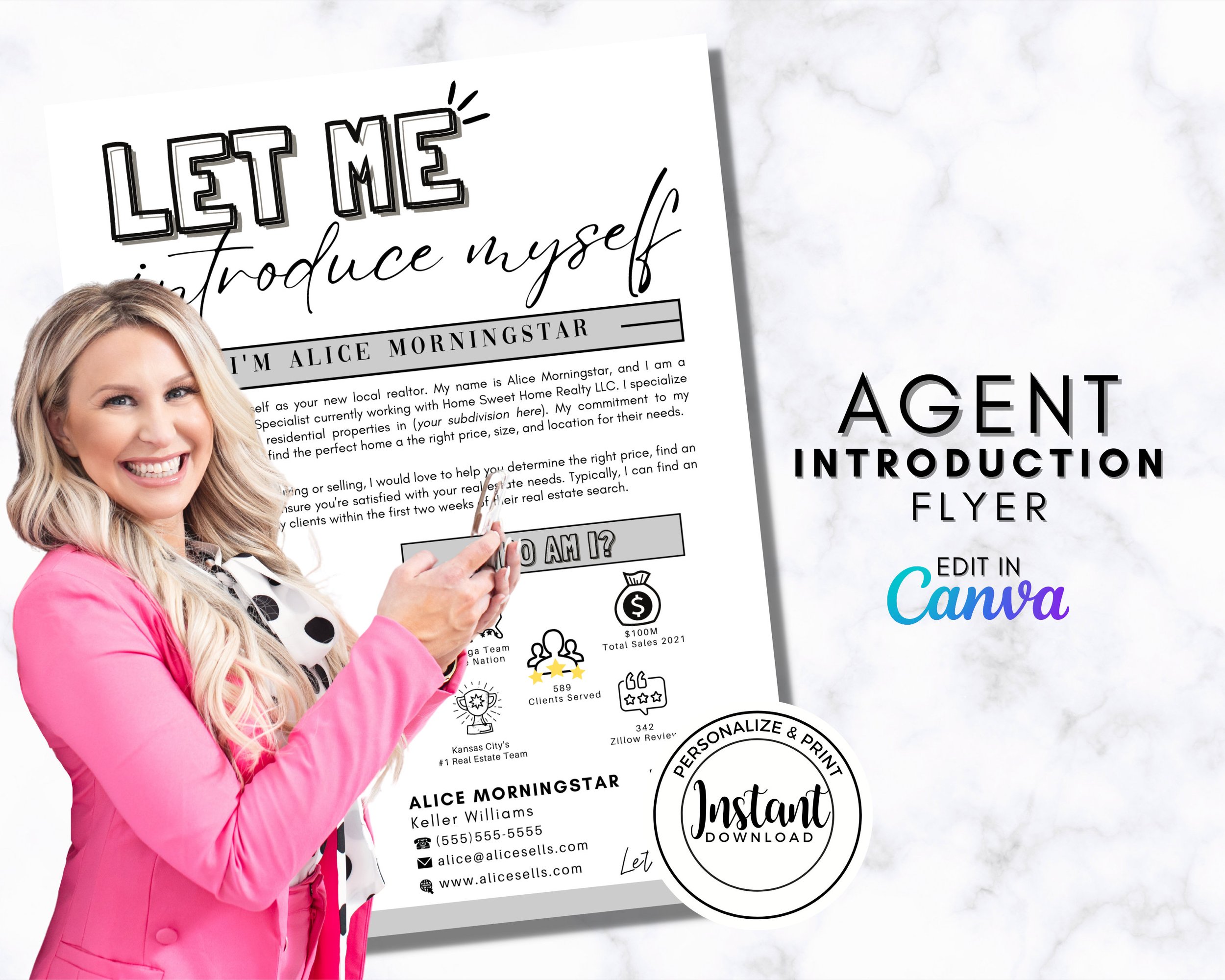 Real Estate Introduction Flyer