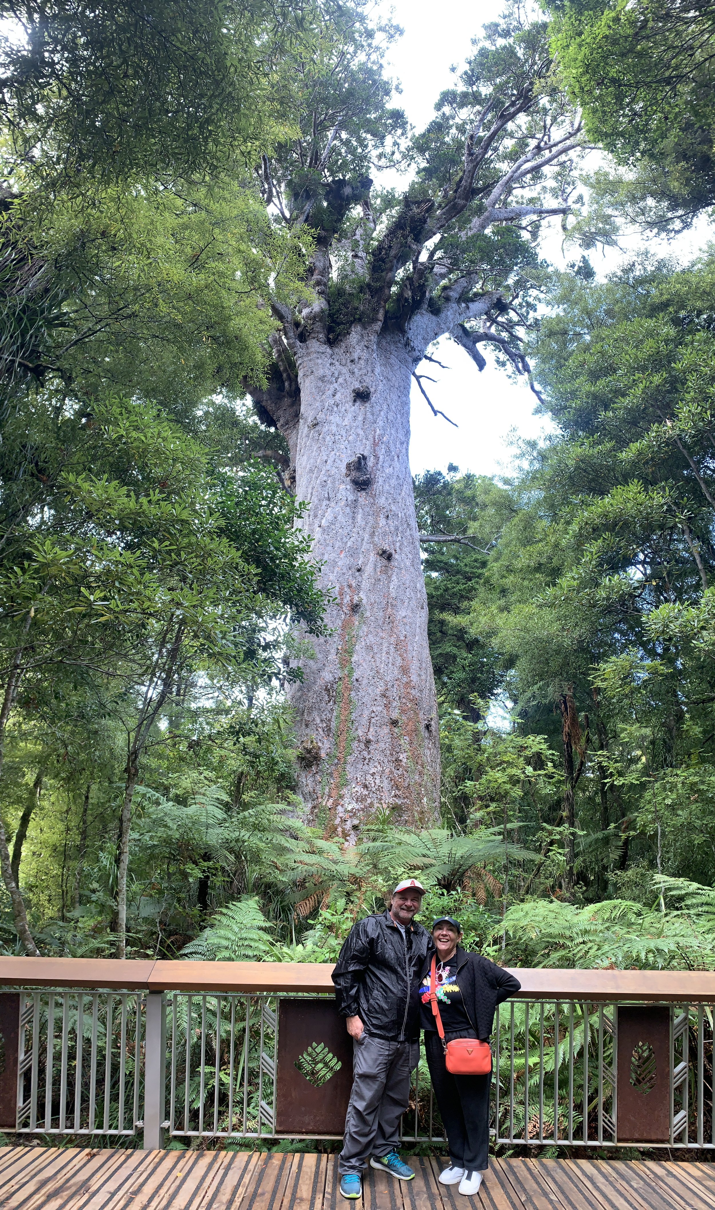 Hikoi to the Far North