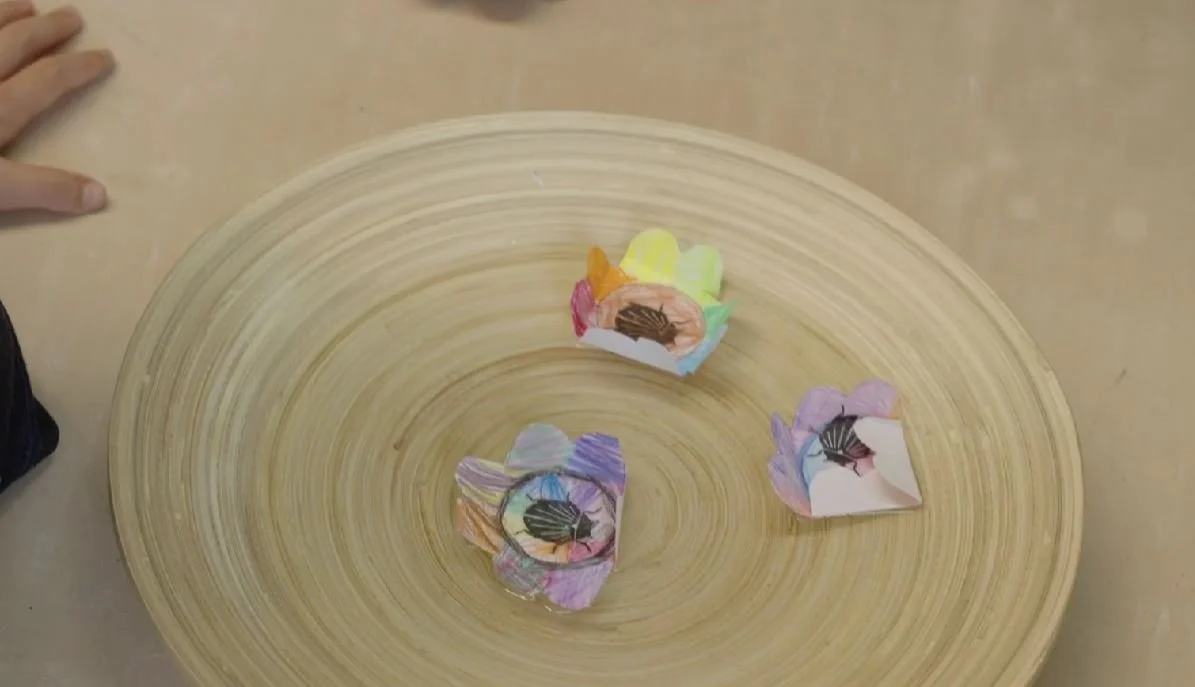 bloom in japan - 2.JPG