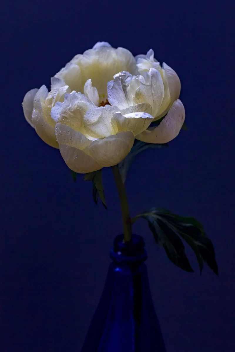 12 - UNBOTTLE II - 32x48 - eva blue.jpg