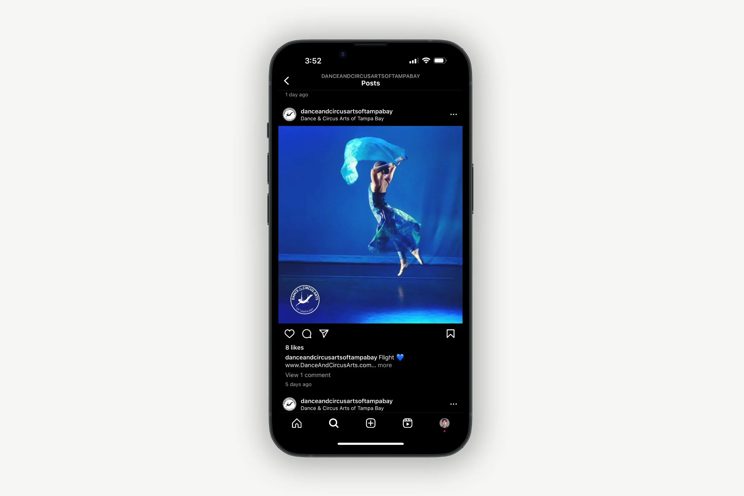 Dance and Circus Arts