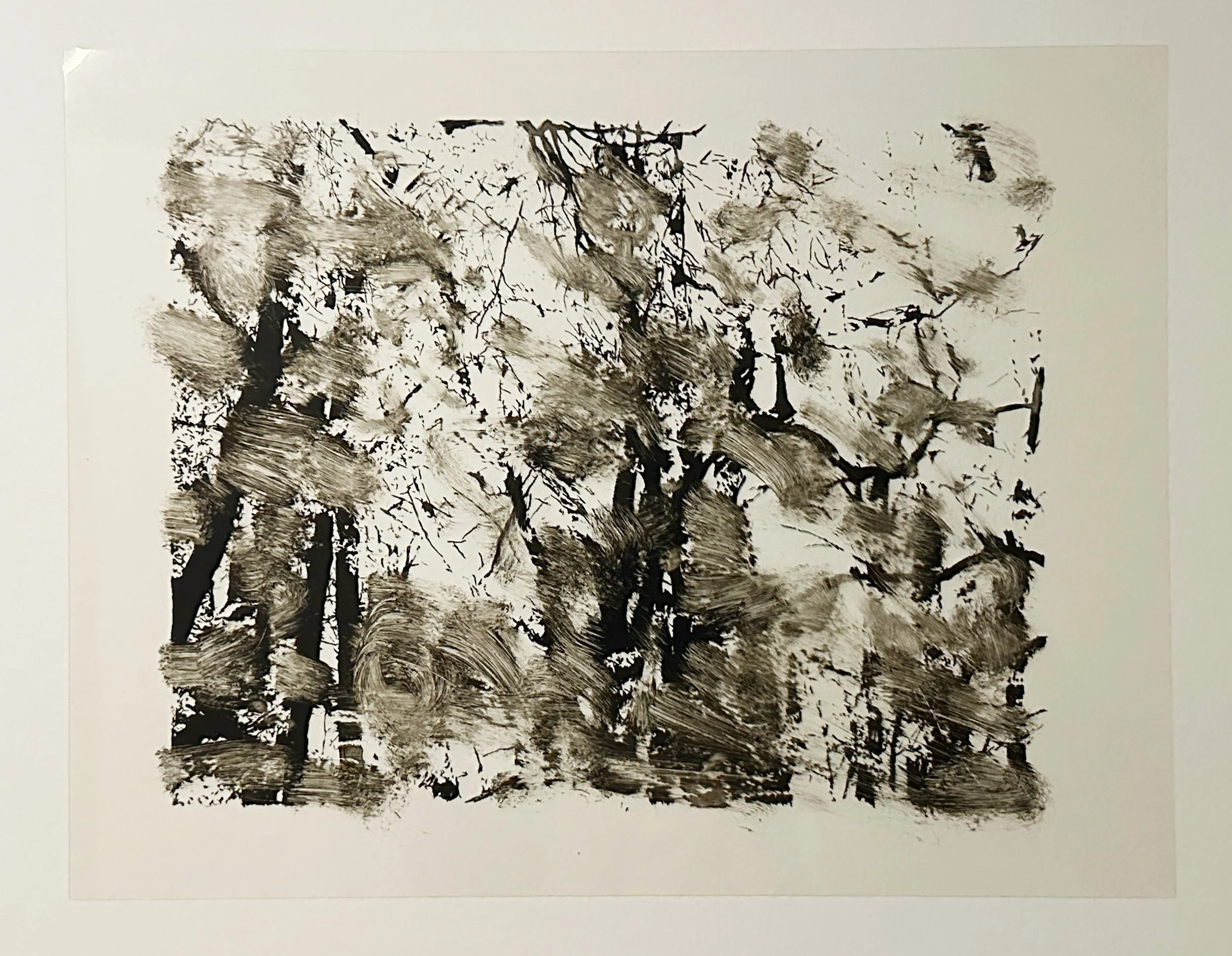 Forest - 2004