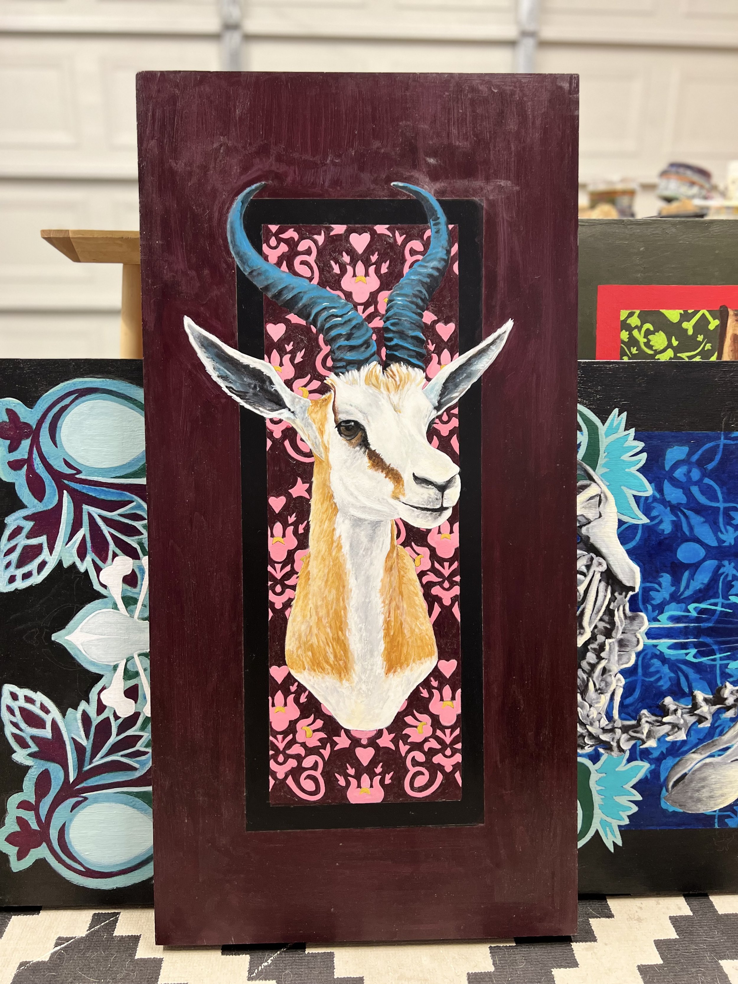 Springbok