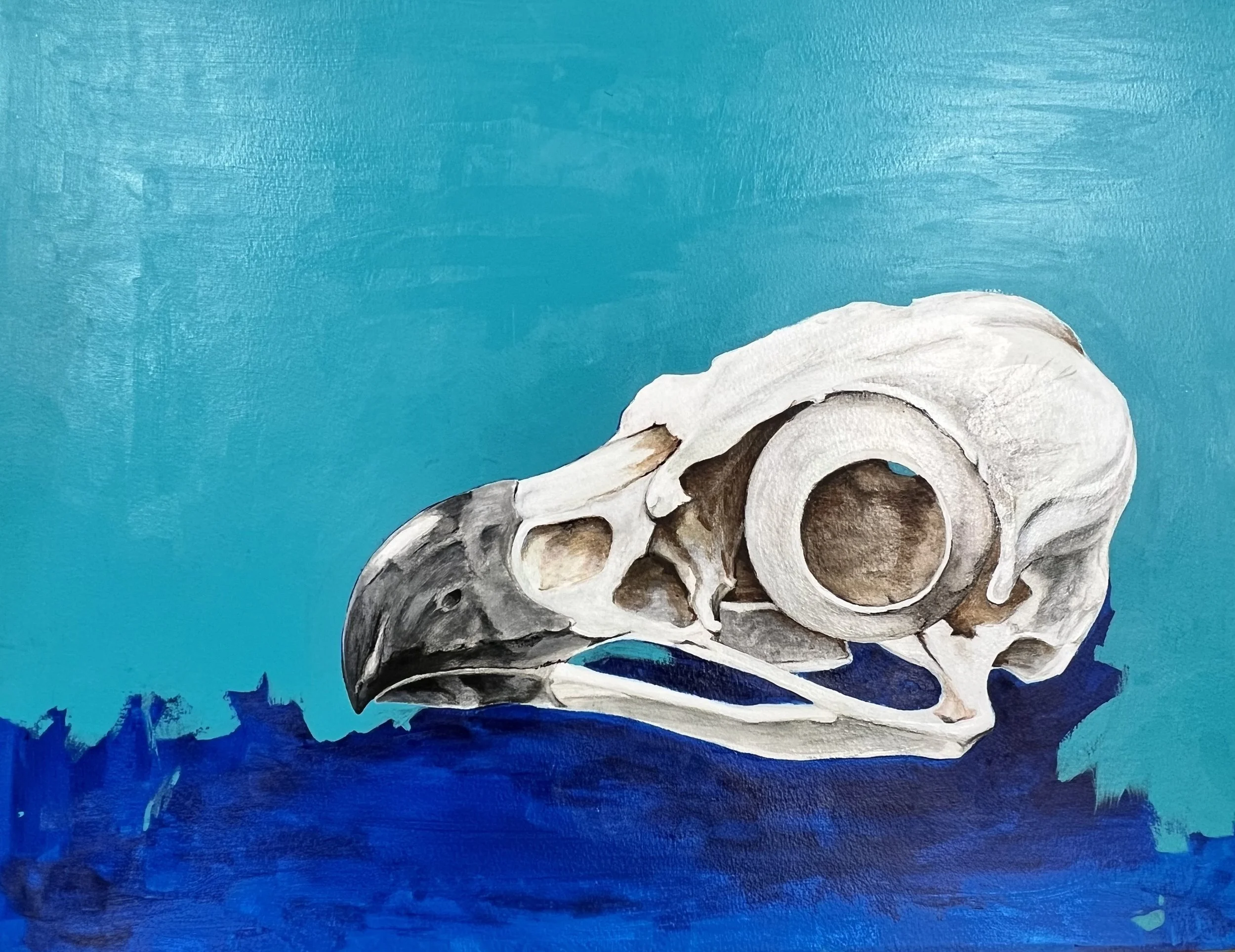 'Osprey'  Mixed Media on Paper  18"x24"