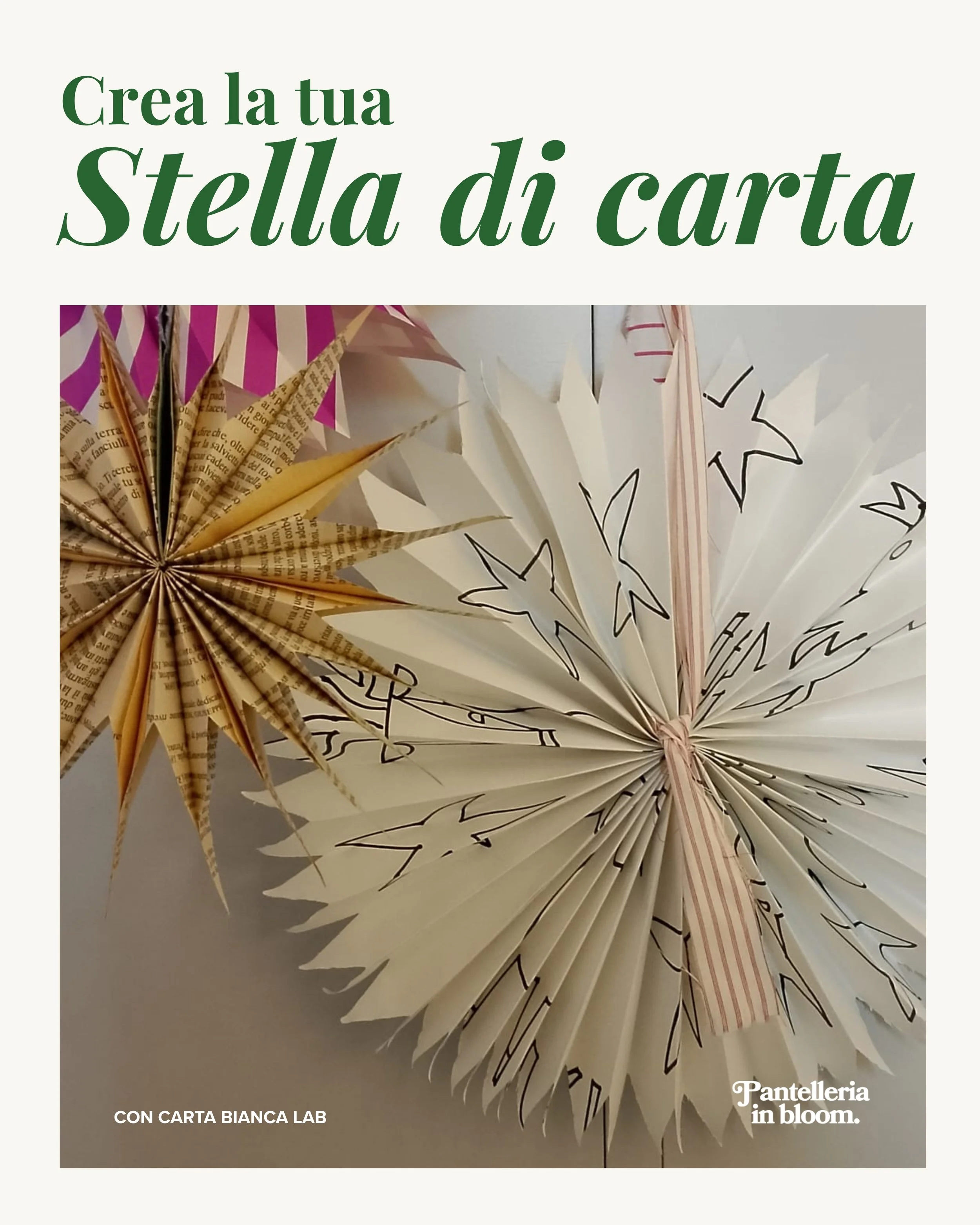 Entra nella magia del Natale con il workshop dedicato alla carta in collaborazione con @_madewithlovedigital ✨

I partecipanti saranno accompagnati nella realizzazione di una o più stelle al filo.
Si partirà disegnando o scrivendo liberamente sui fog
