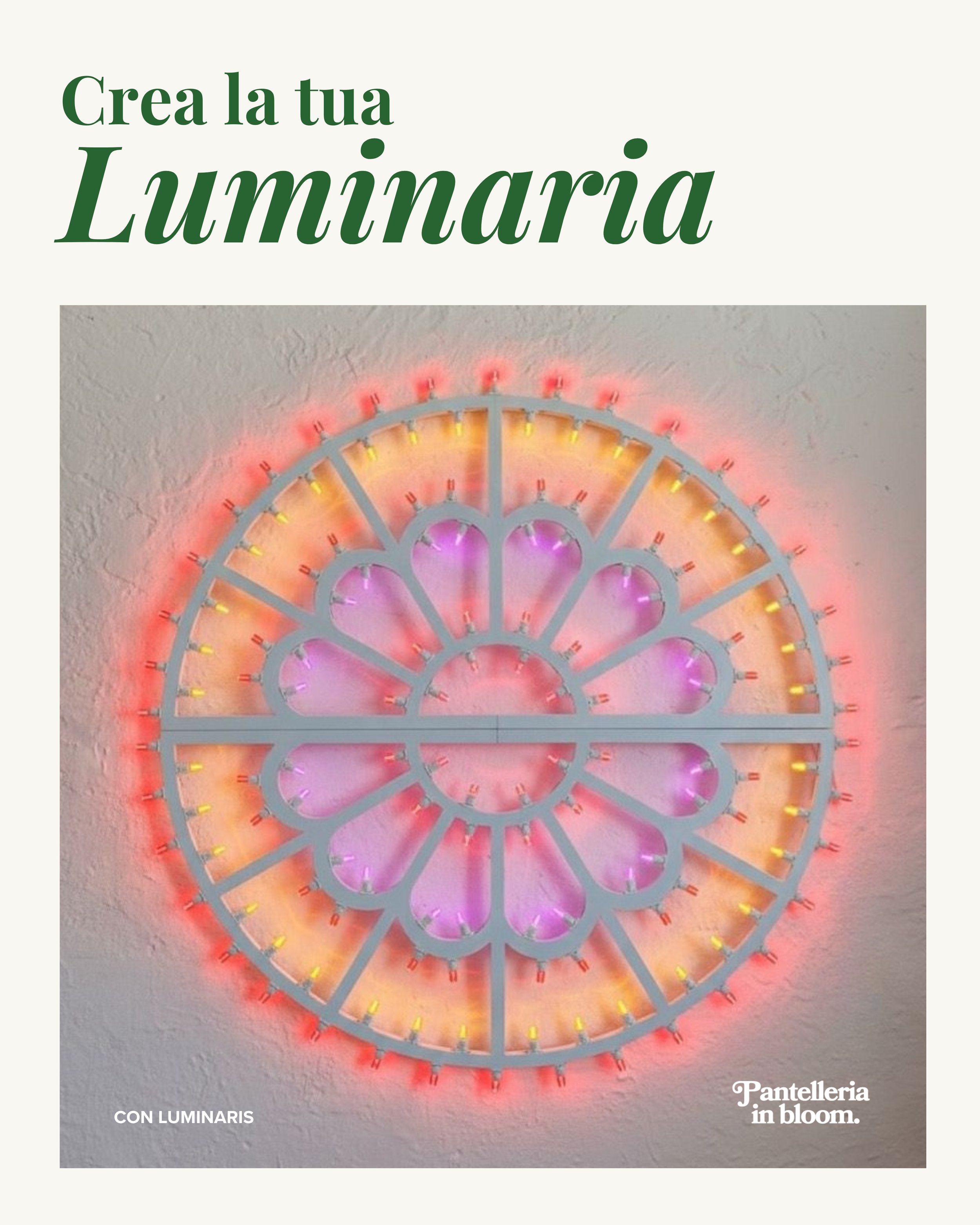 Un simbolo della nostra terra, a Natale, più carico di magia che mai.

Realizza con noi la tua Luminaria Salentina artigianale, partendo da un telaio in legno a scelta tra diversi modelli e dando libero sfogo alla creatività. Sarai guidato passo dopo