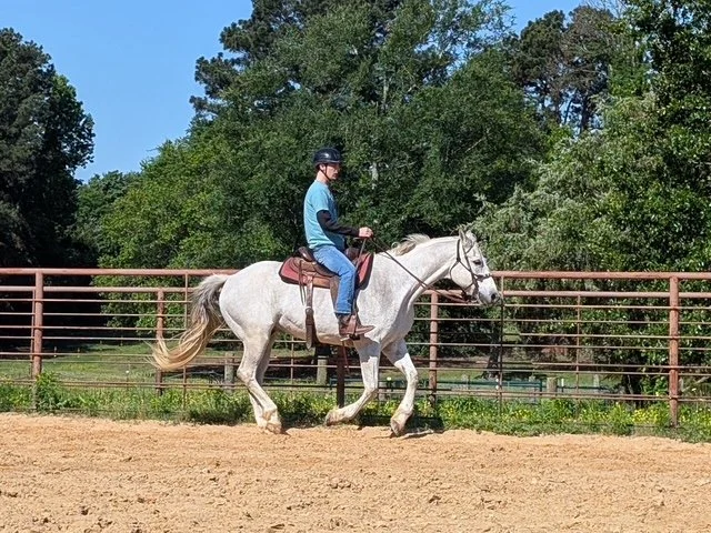 image27.jpeg