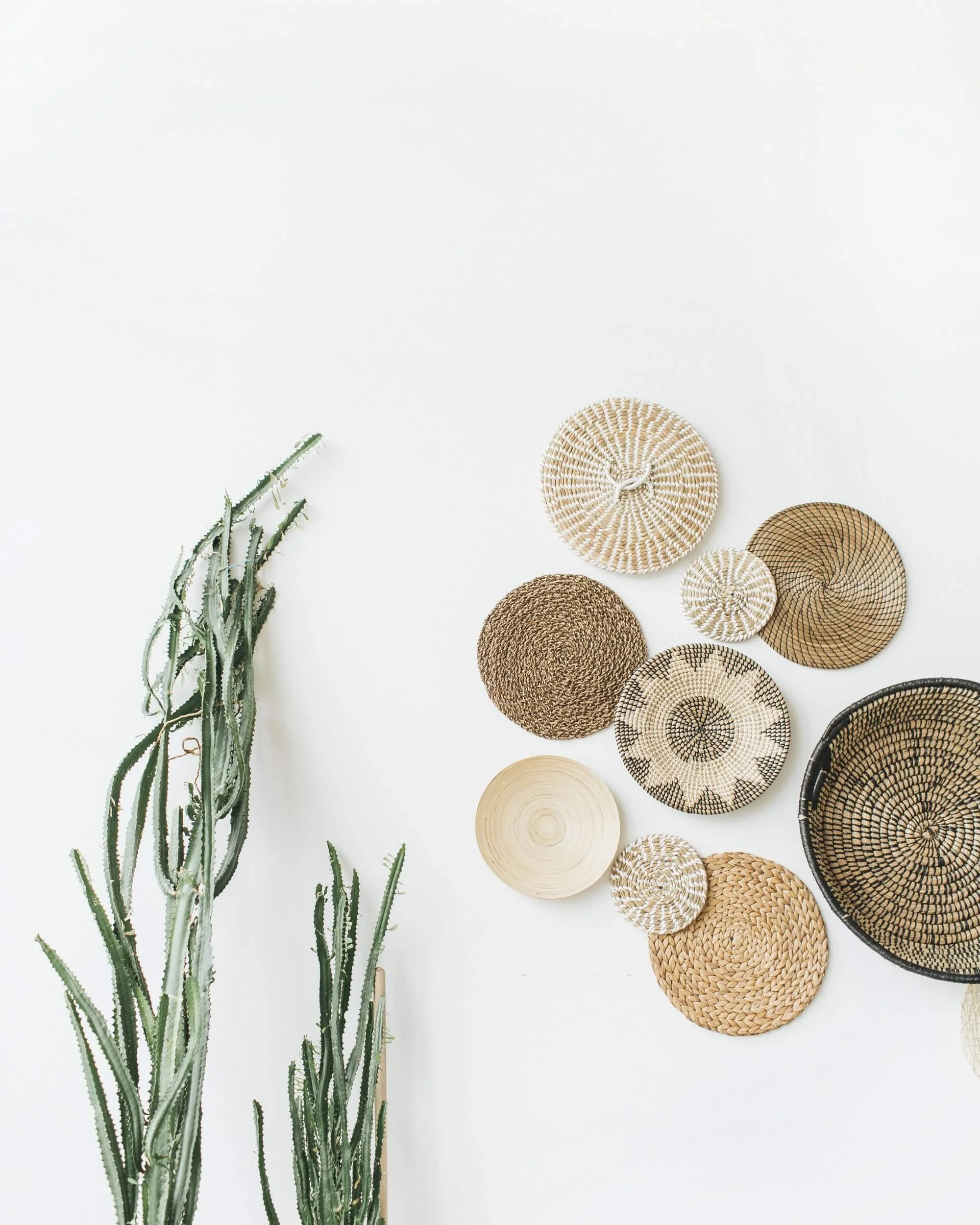 Livin With Susan Home Renovation 02.jpg