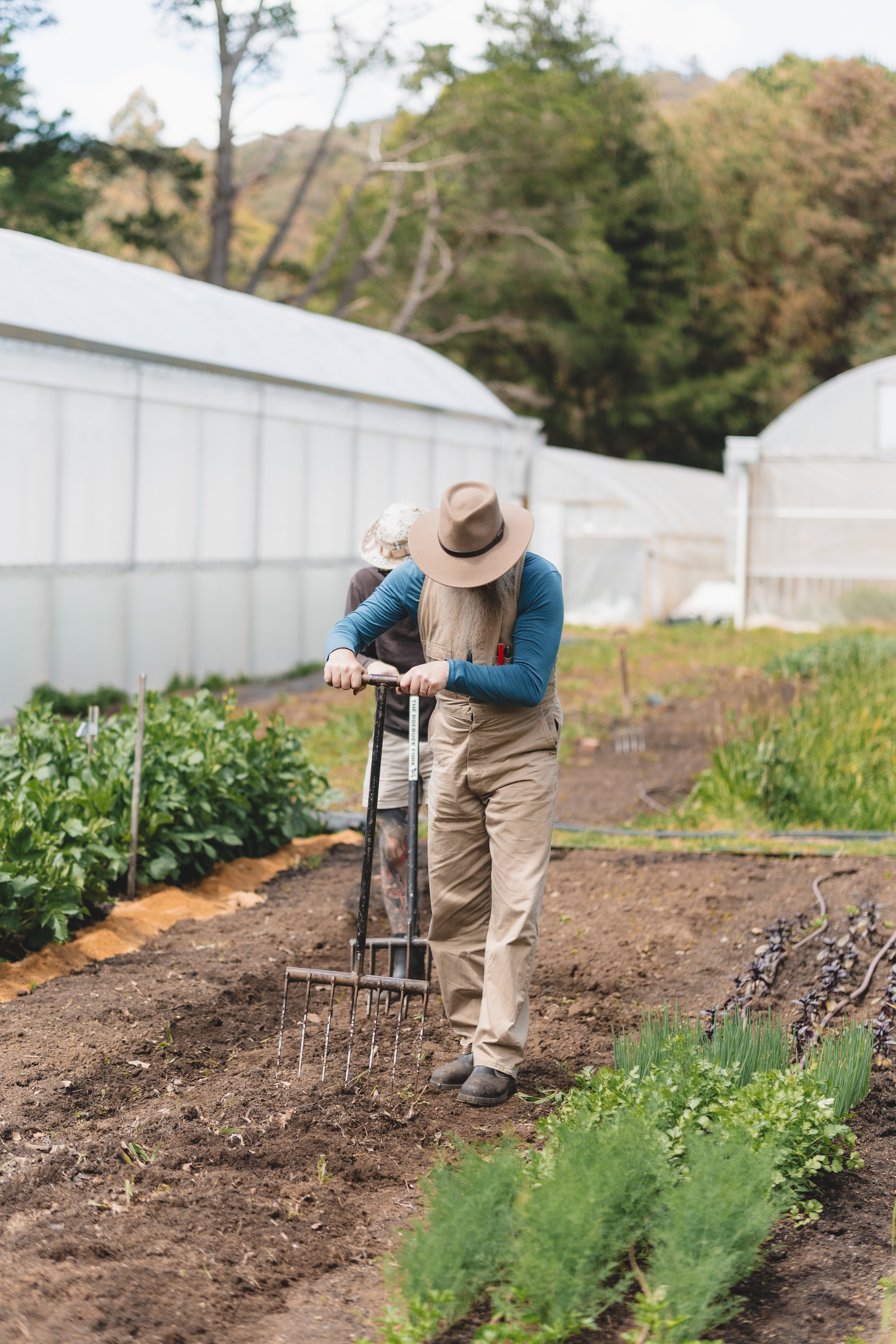 Autumn: Extending the Harvest - 11th April