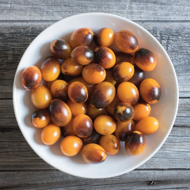 Atomic Sunset - Grafted CHERRY