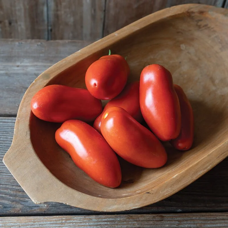 San Marzano - Grafted