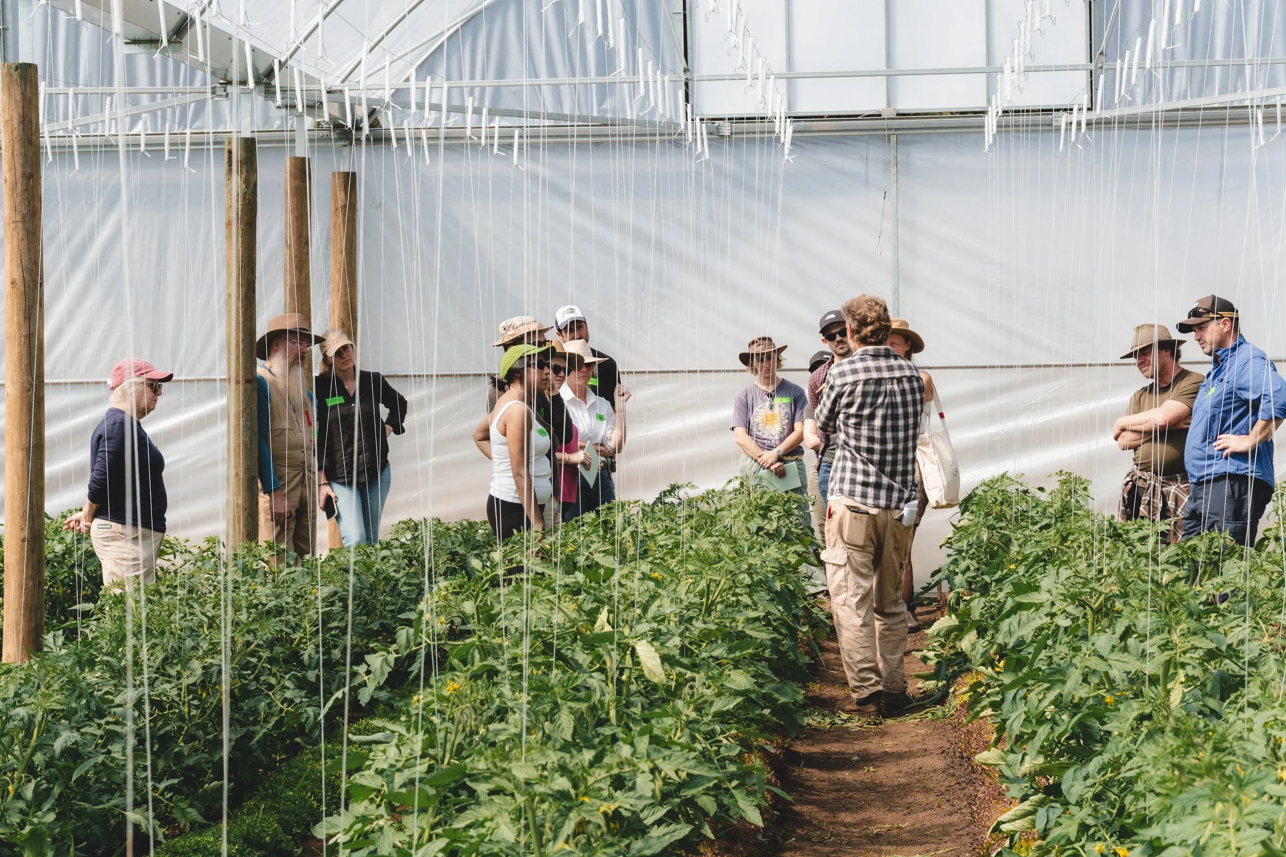 Mid-Summer: Managing Momentum - 7th February