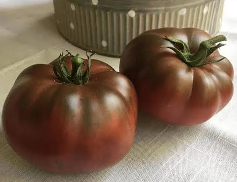 Cherokee Purple - Grafted