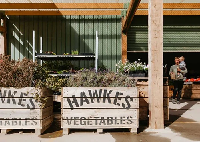 HAWKES.jpg