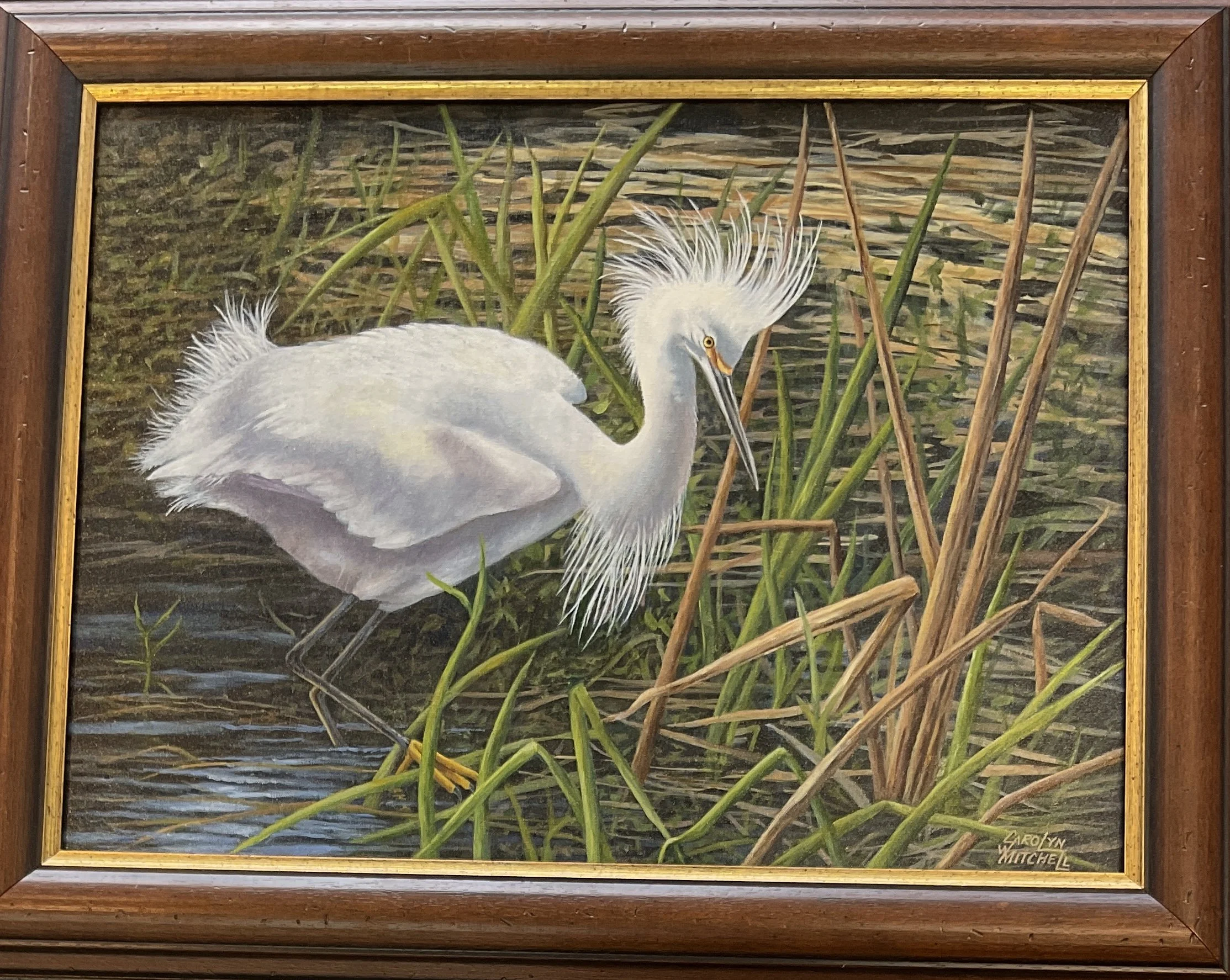 White bird
