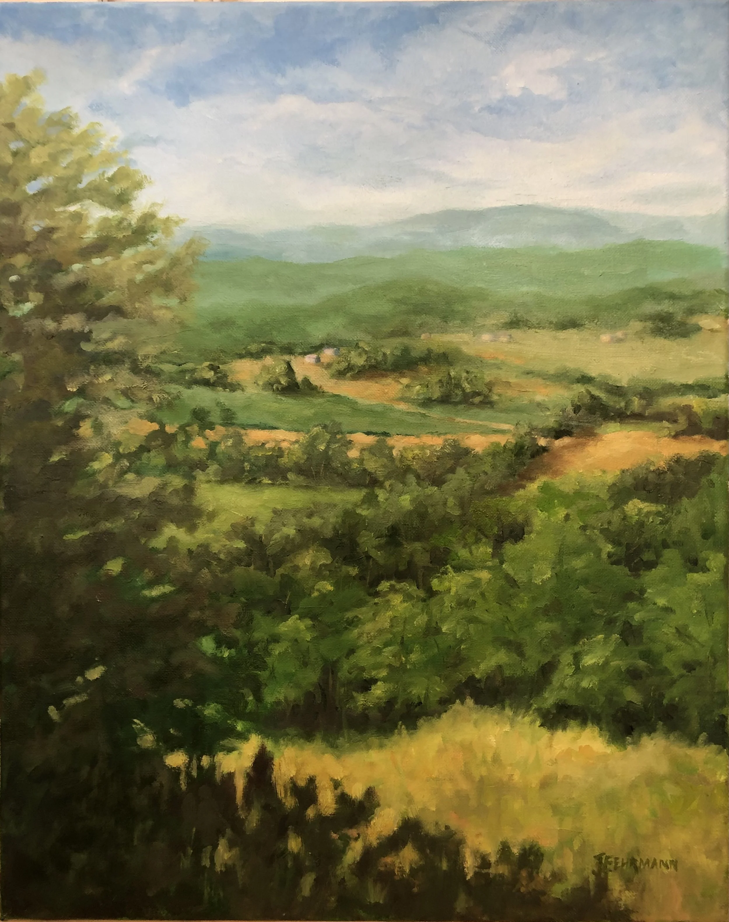 View from the Pinhoti Trail