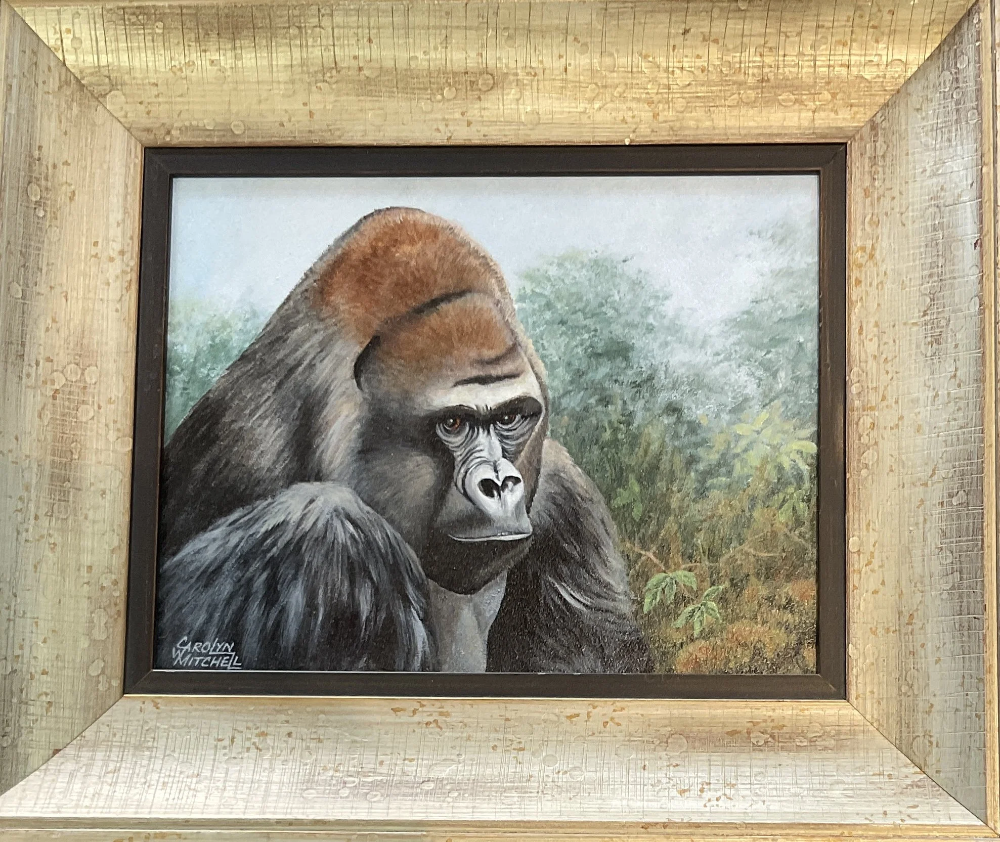 Ape
