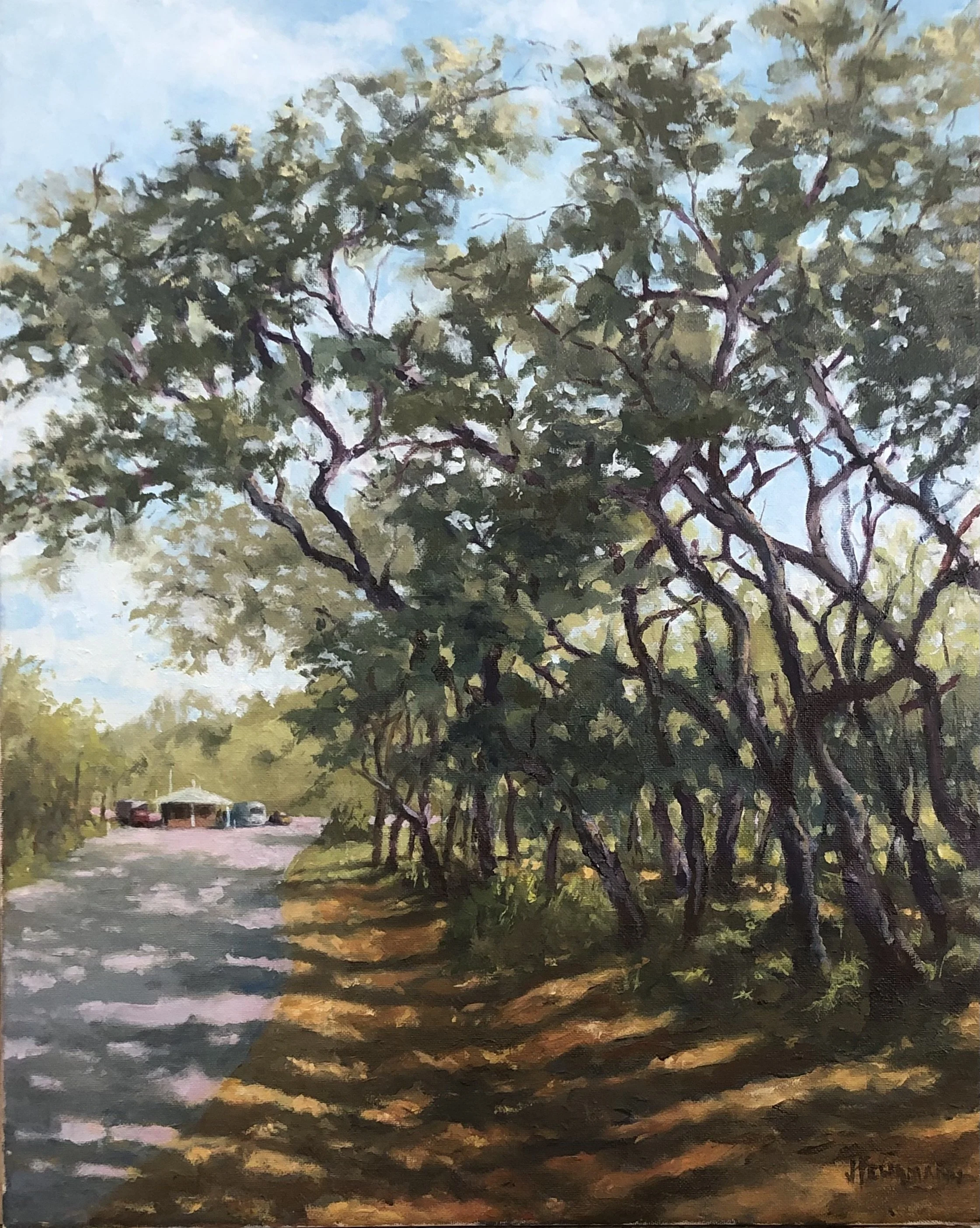 Live Oaks at Gulf State Park Campground 16x20 $395.jpg
