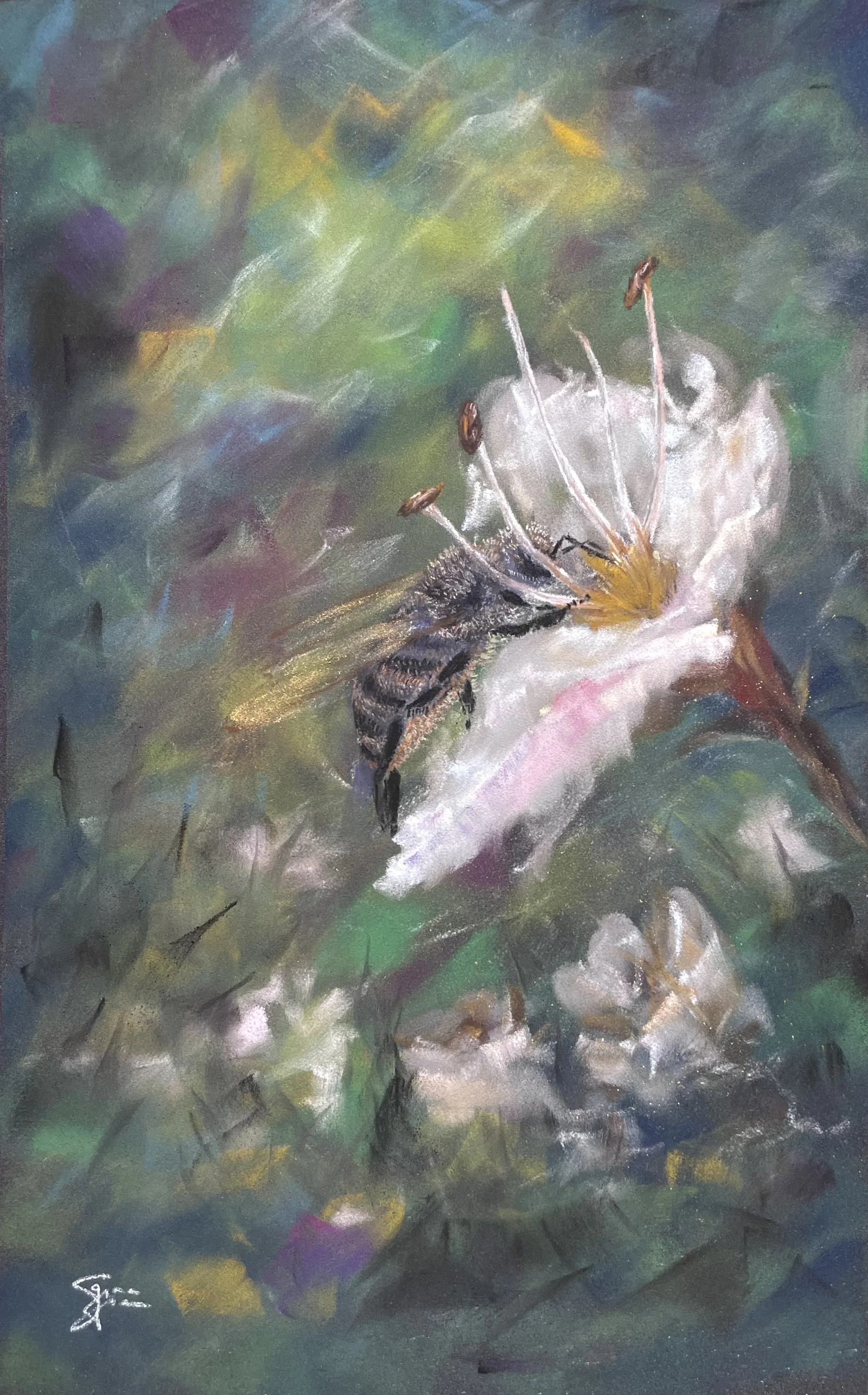 Sweetness 7x11 $295.jpeg