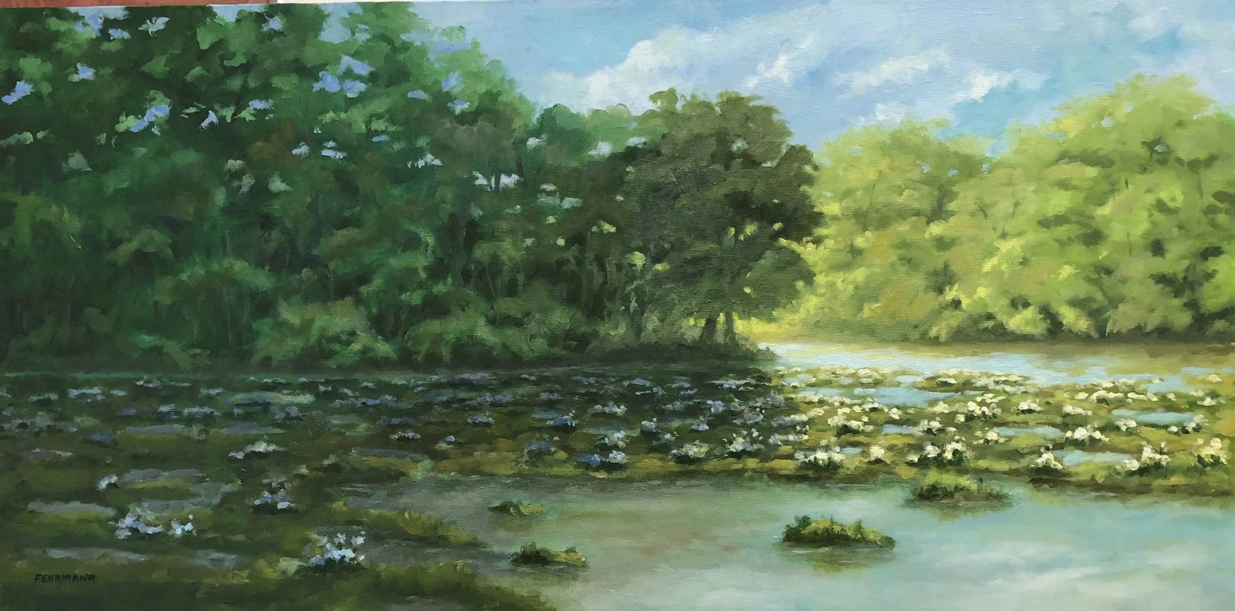 Cahaba Lilies 15x30 $495.jpg