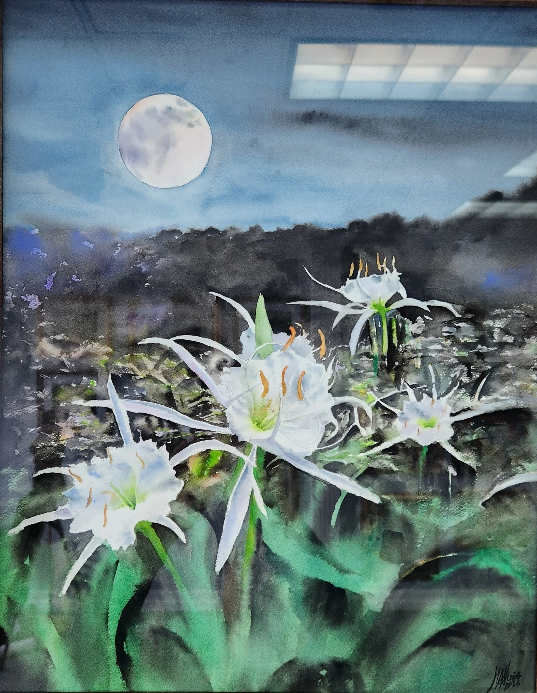Cahaba Lillies in the Moonlight