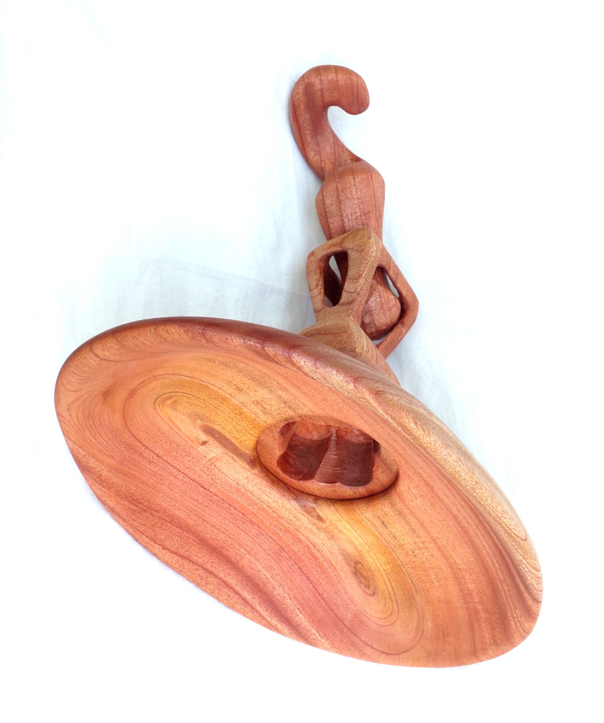 Lámpara de techo "Raquel 1", 2019.
Madera de cedro, 45x35x25cm.
Patagonia Argentina.