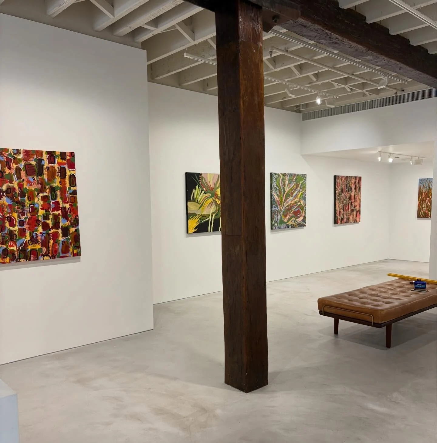 &lsquo;Xanthorrhoea&rsquo; showing @janmantongallery till the 7th of Feb!