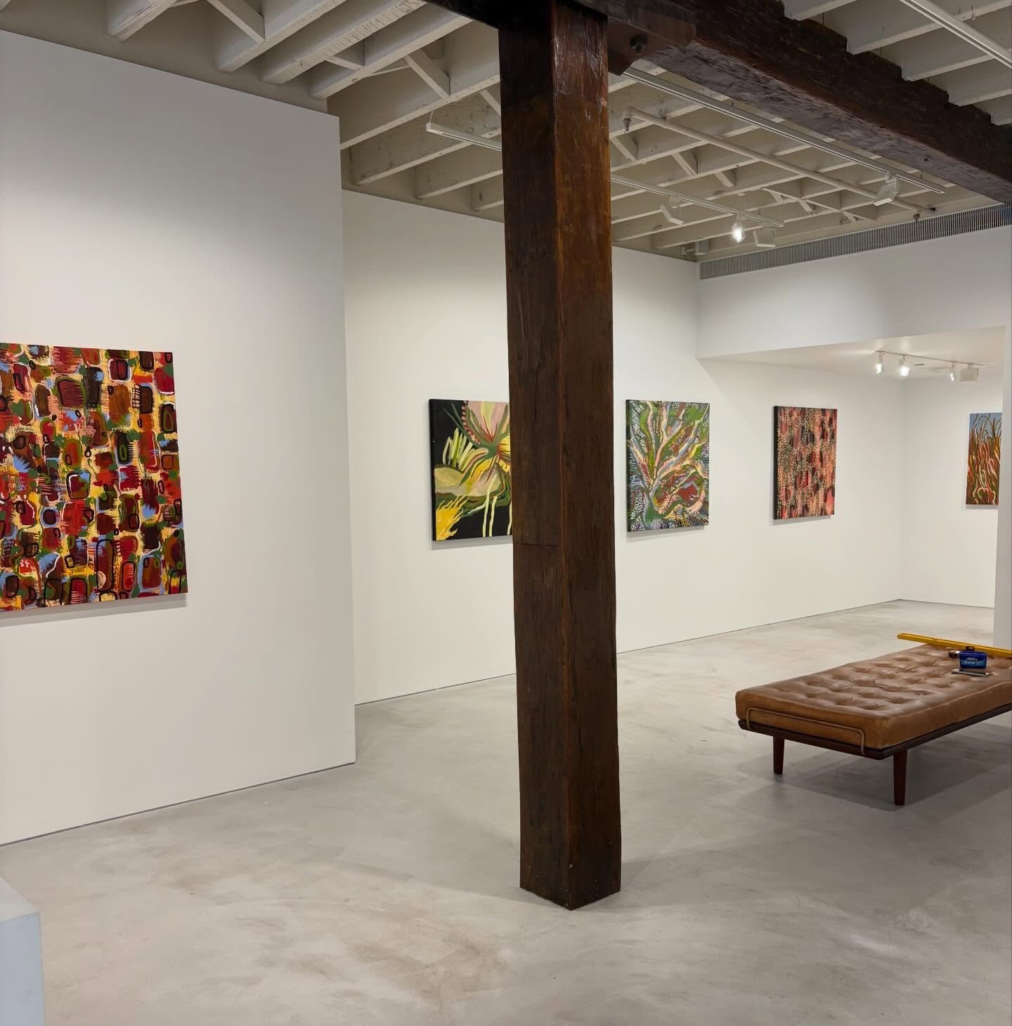 &lsquo;Xanthorrhoea&rsquo; showing @janmantongallery till the 7th of Feb!