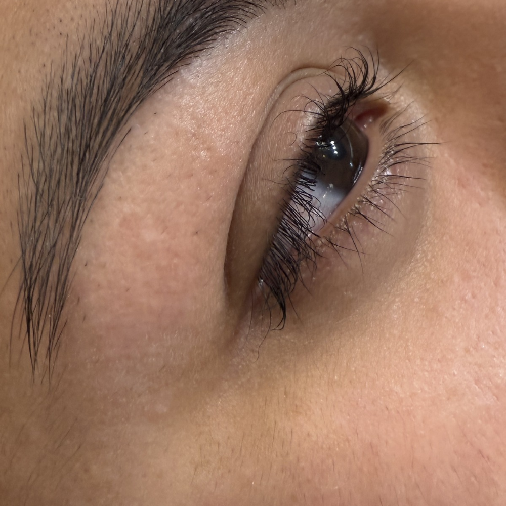 Lash Lift