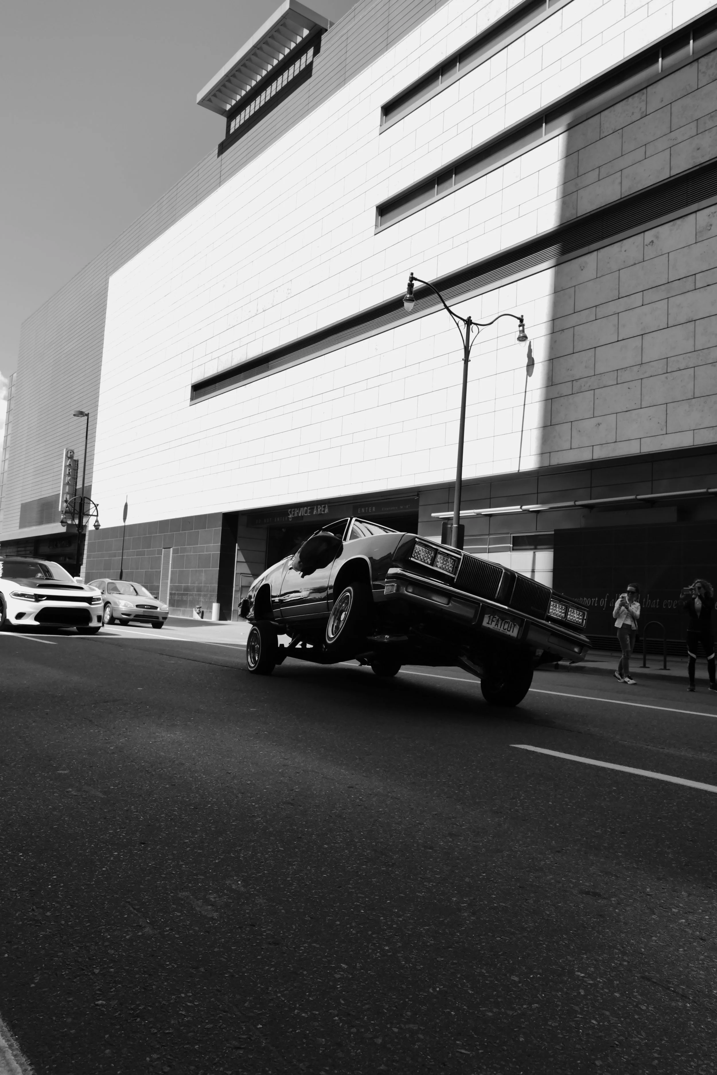 L1020942.JPG