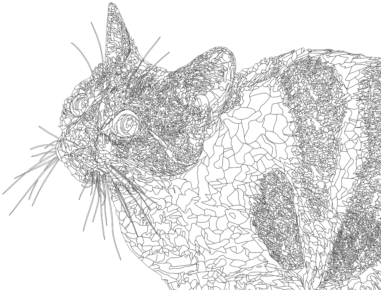 Illustrator outline view of the cat's face and shoulder, showing hundreds of individual shapes