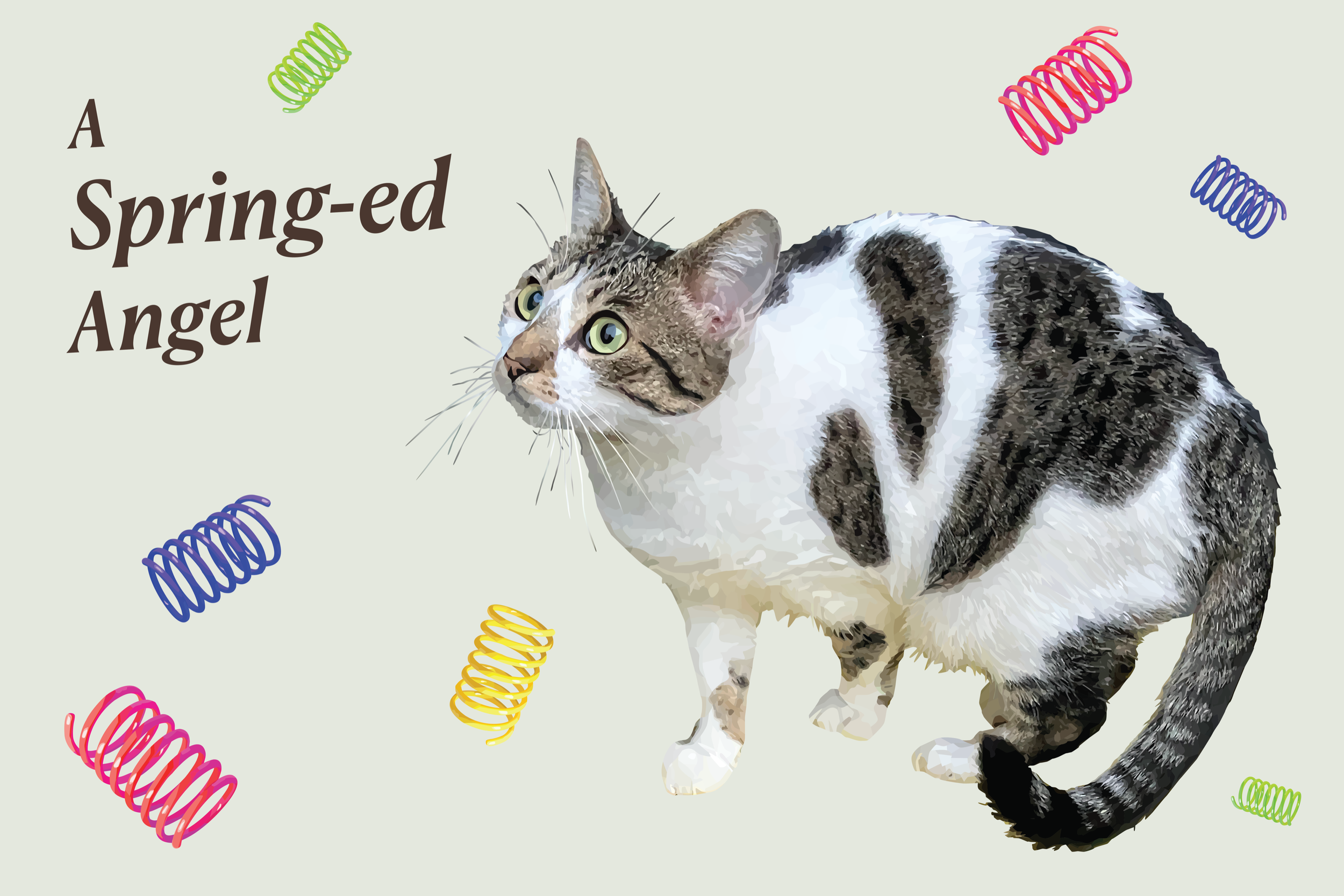 Vector illustration of a white and tabby cat looking up at the title "A Spring-ed Angel," surrounded by colorful plastic spring toys