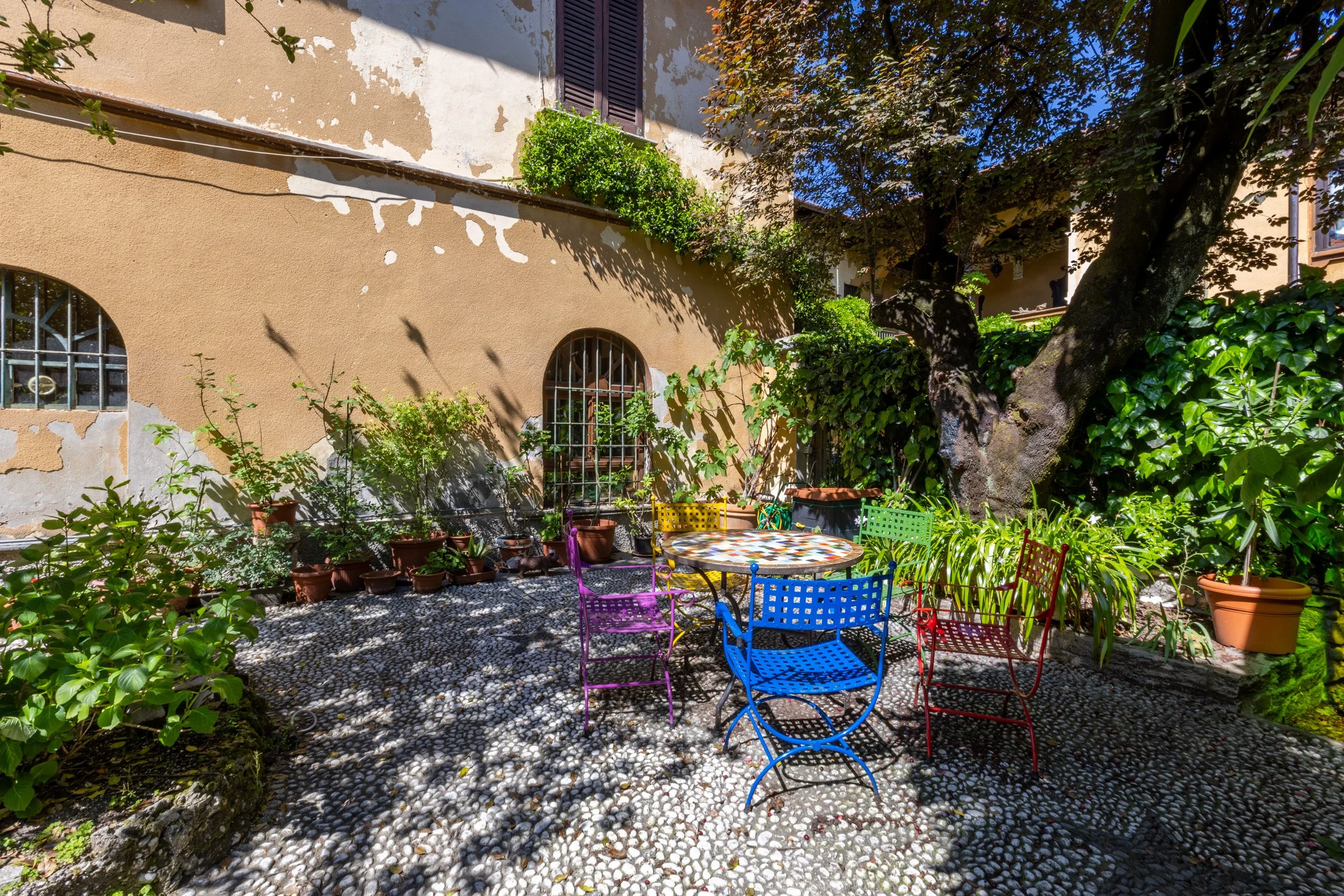 fotografia-architettura-cortile-albero-secolare-varese.jpg