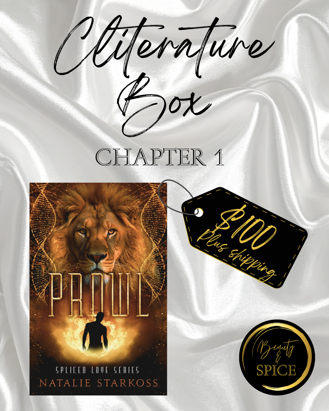 chapter one cover.png