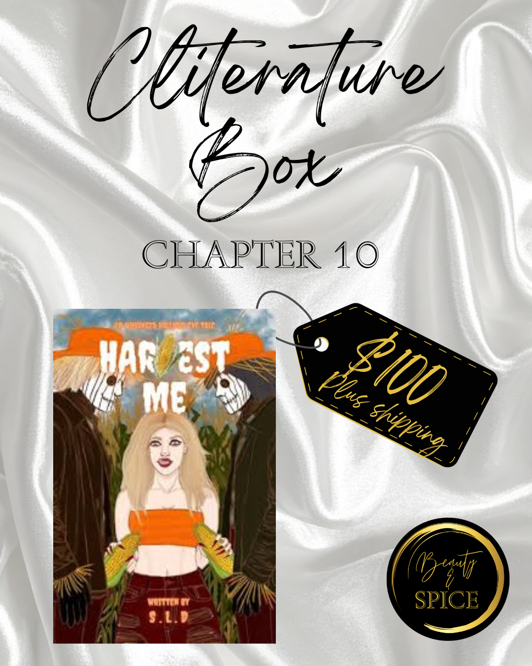 ch10 cover.png