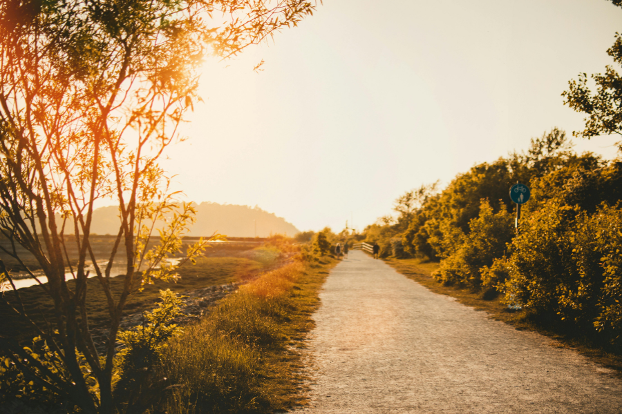 Image features walking path. | Walk-and-talk therapy in Denver, Colorado therapist | 80209
