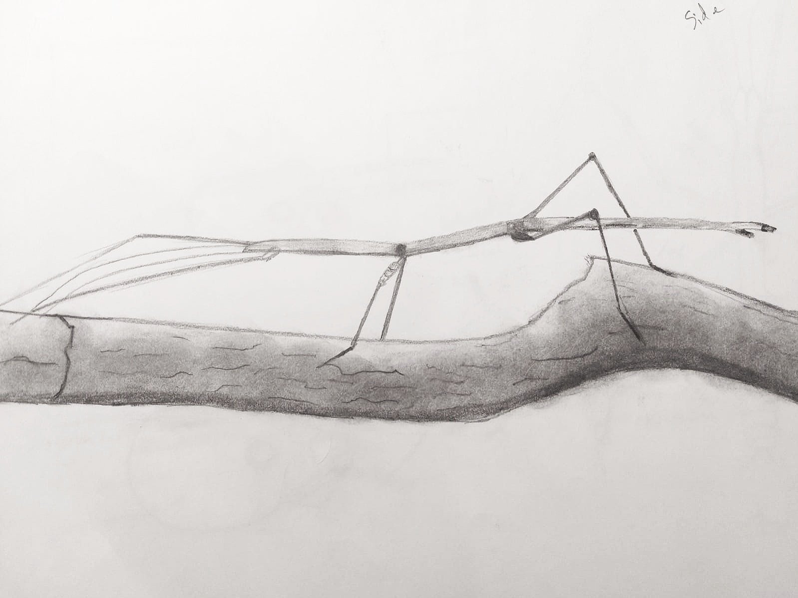 WhatsApp Image 2024-04-22 at 03.37.36_92ce9c25.jpg