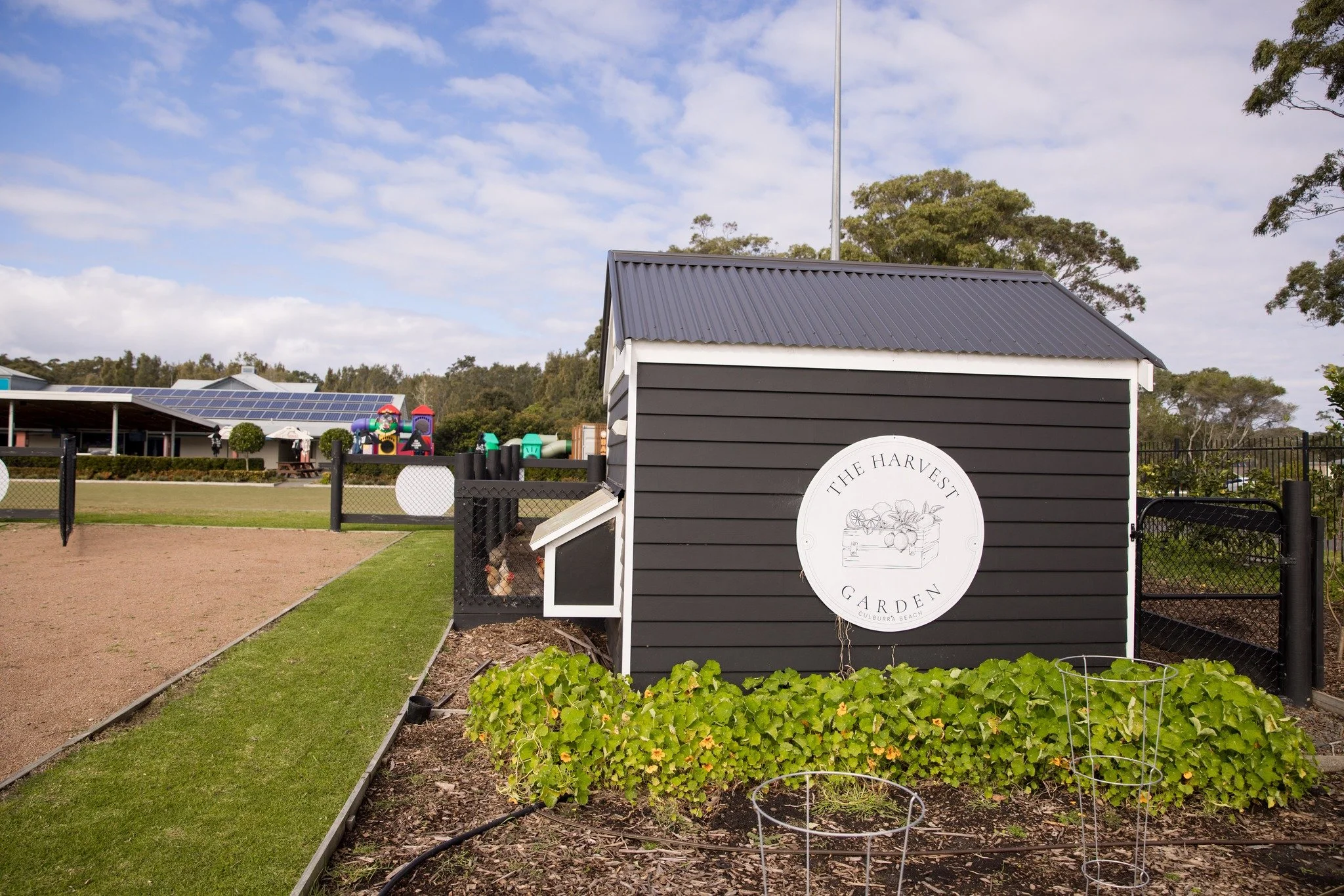 Come visit our Harvest Garden this summer!

Pop in, take a look, and see what&rsquo;s growing at the Bowlo!