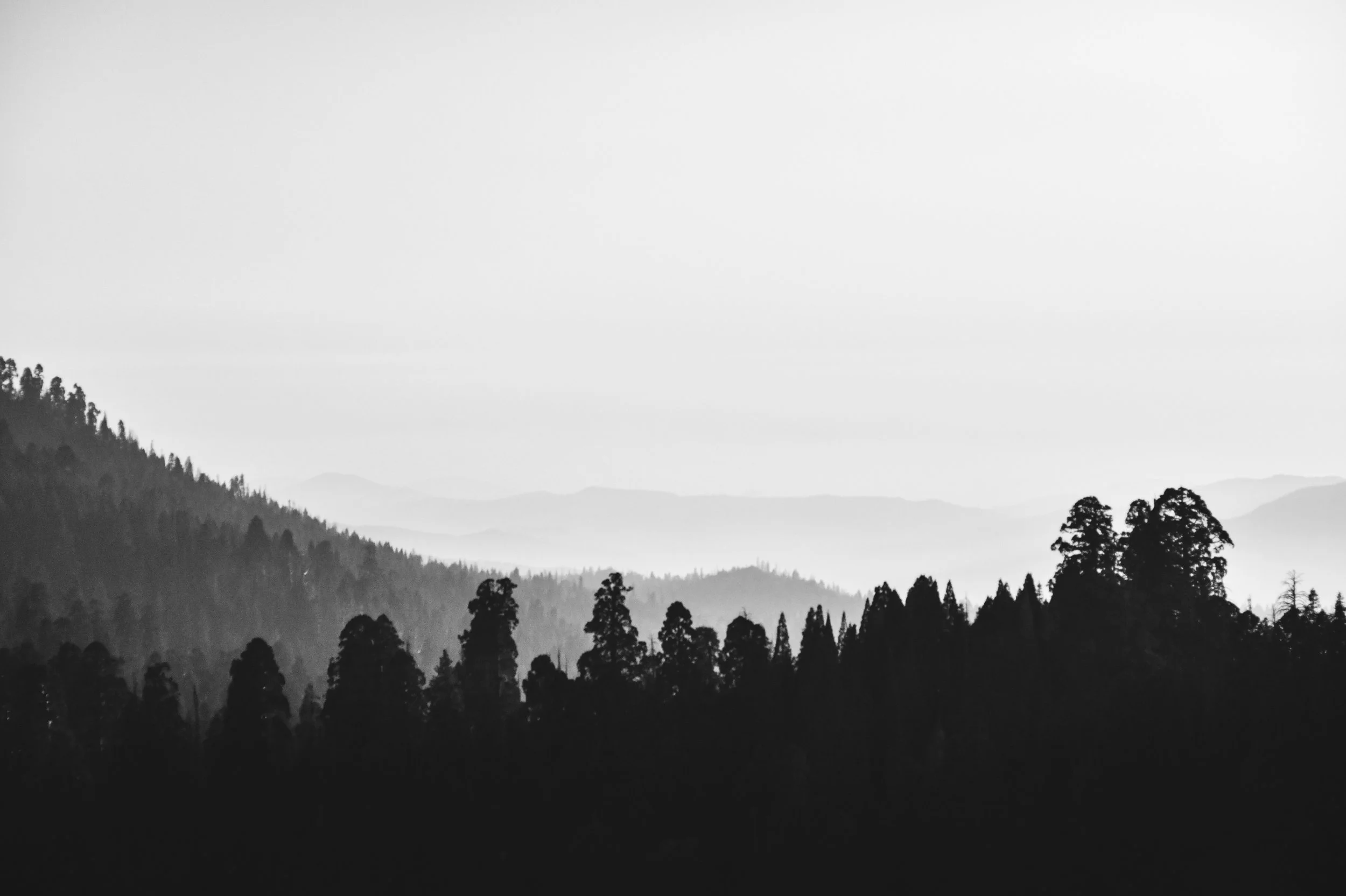 DSC_8654.jpg