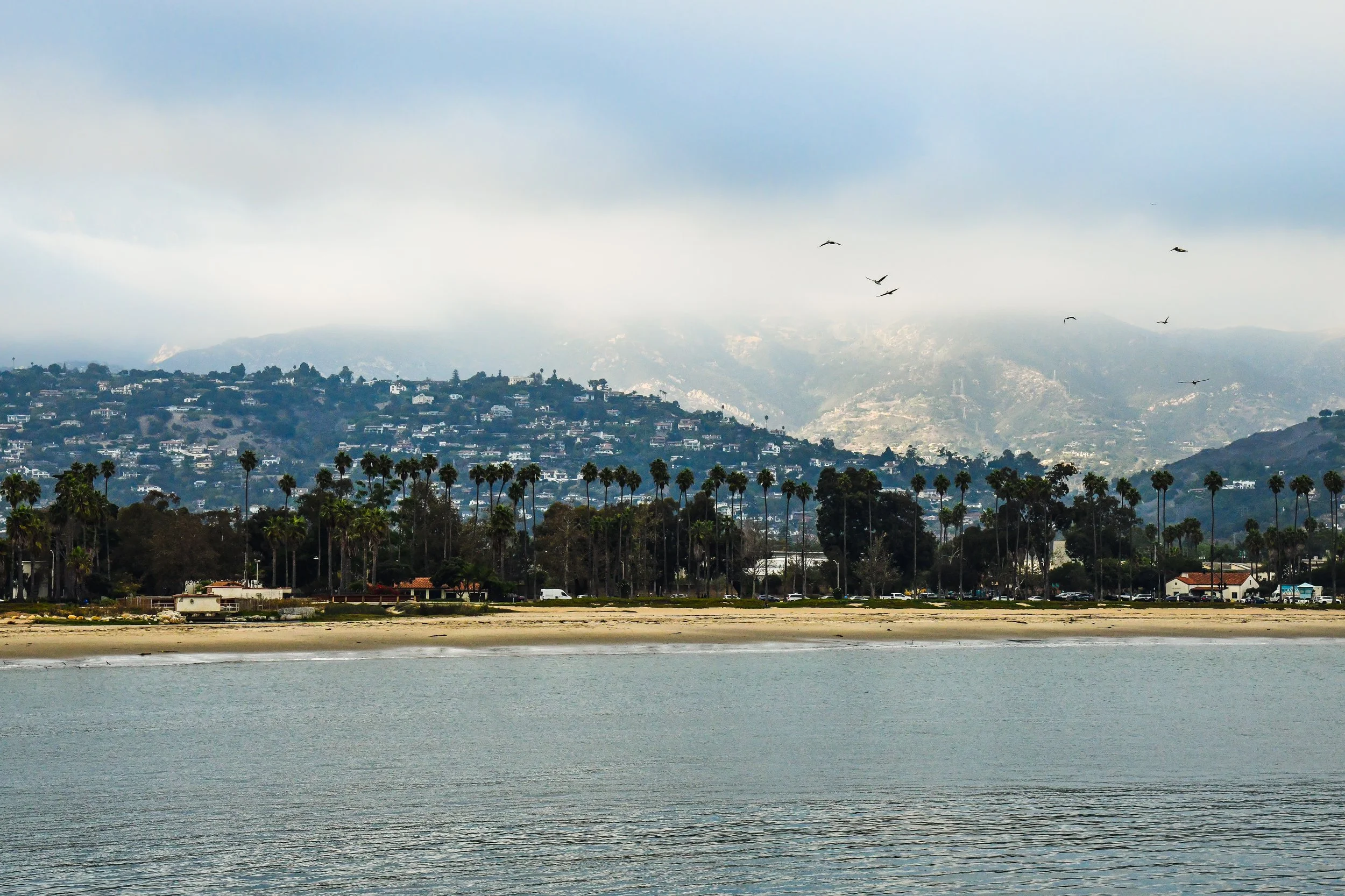 DSC_7559.jpg