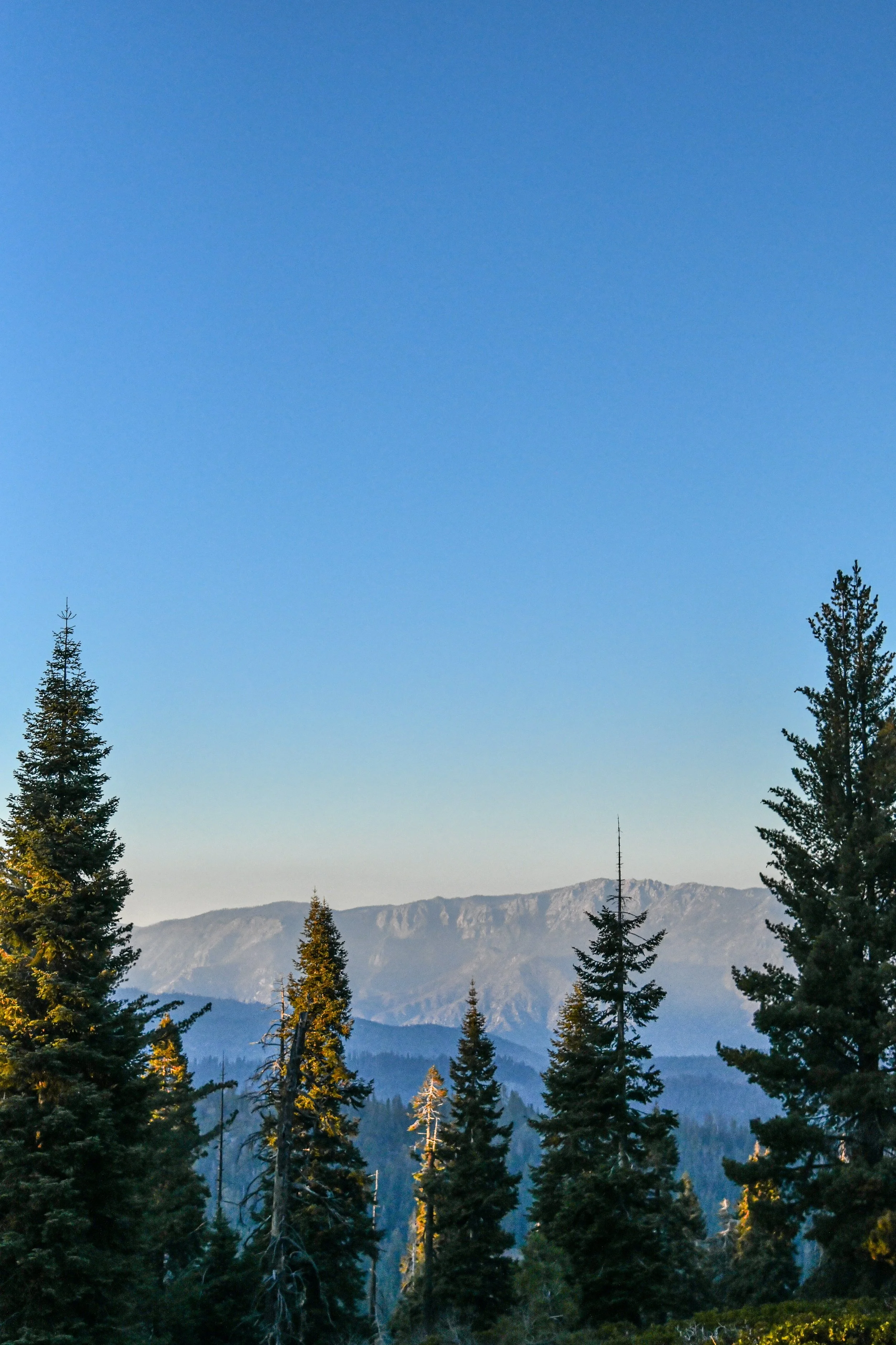 DSC_8644.jpg
