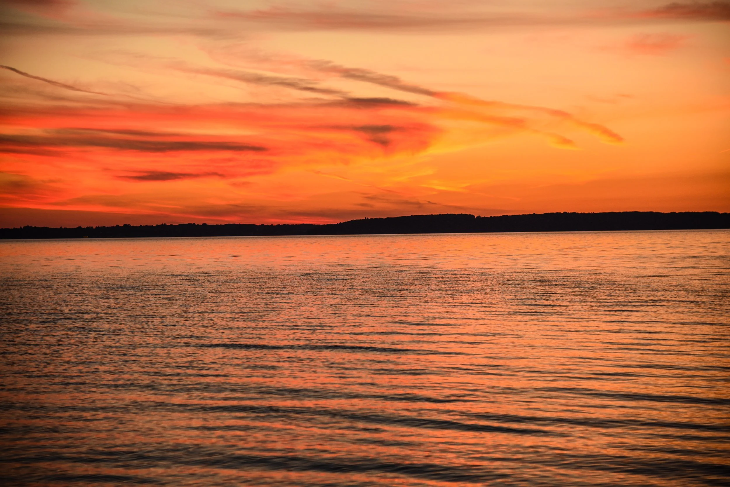 DSC_2232.jpg