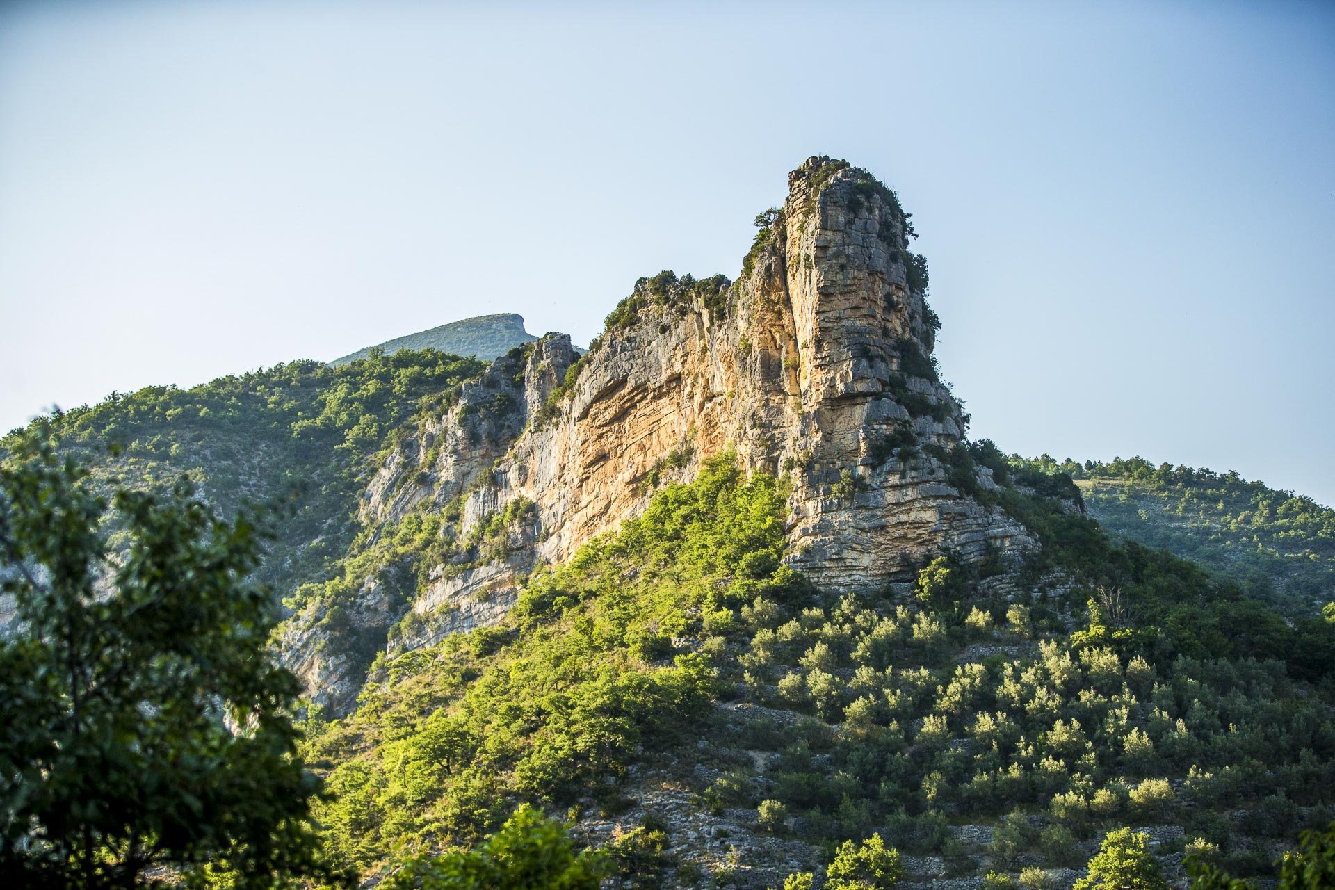 Découvrir les vautours en Terre des Baronnies