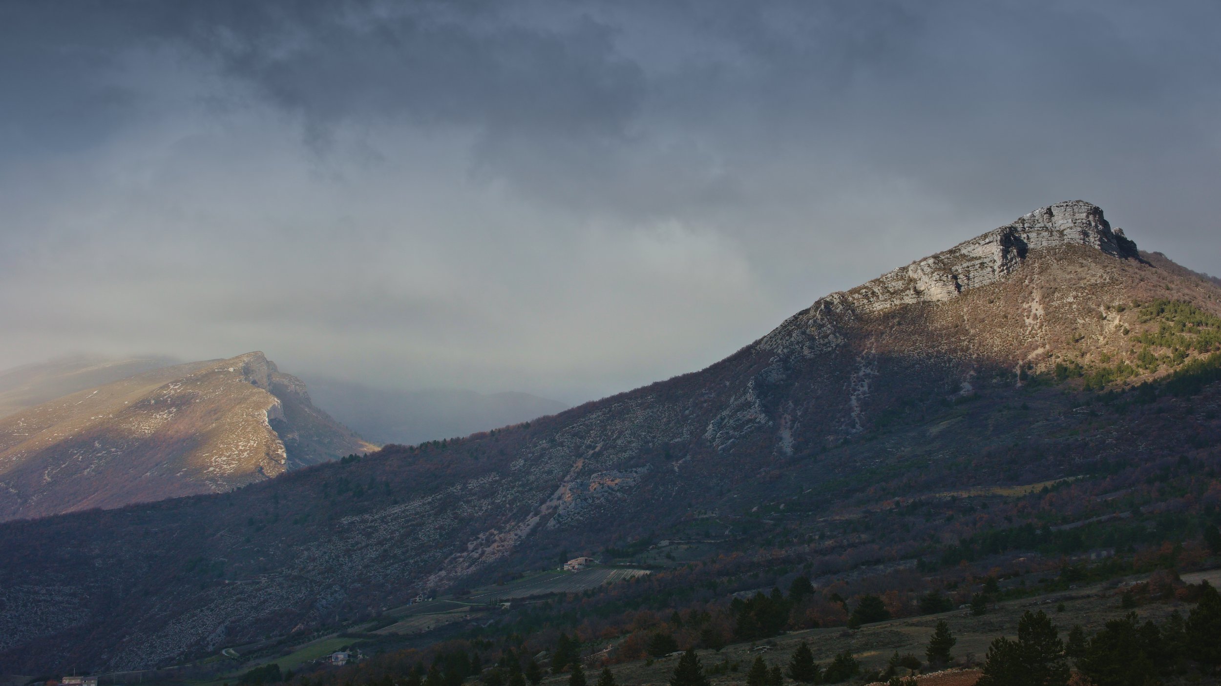 Découvrir les vautours en Terre des Baronnies