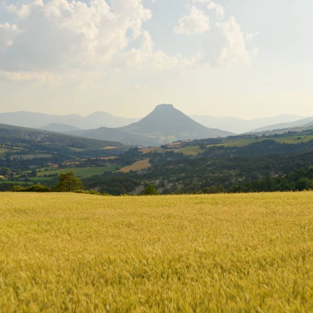 Risou au cœur des Baronnies