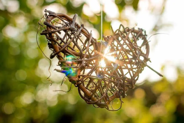 Saint-Valentin romantique et nature