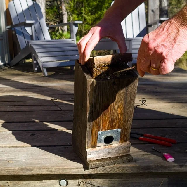 Ouverture du Nichoir